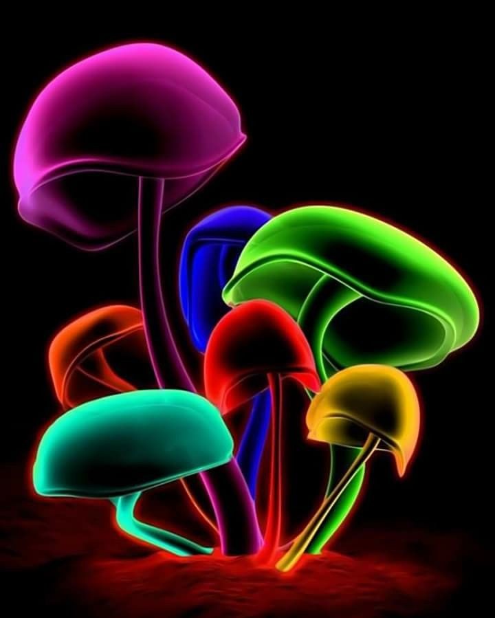 Mushroom Colorful - HD Wallpaper 