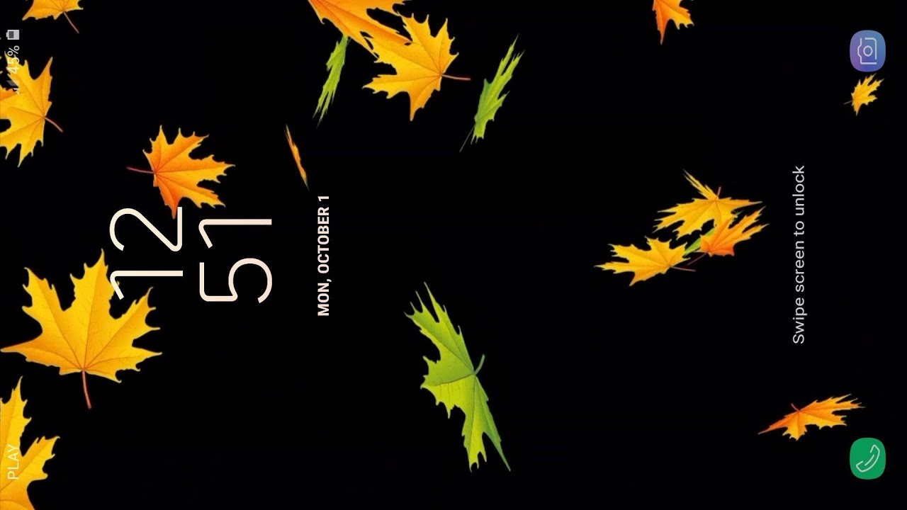 Maple Leaf - HD Wallpaper 