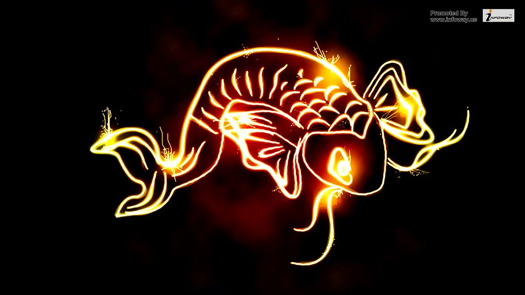 Koi Fish Neon Sign - HD Wallpaper 