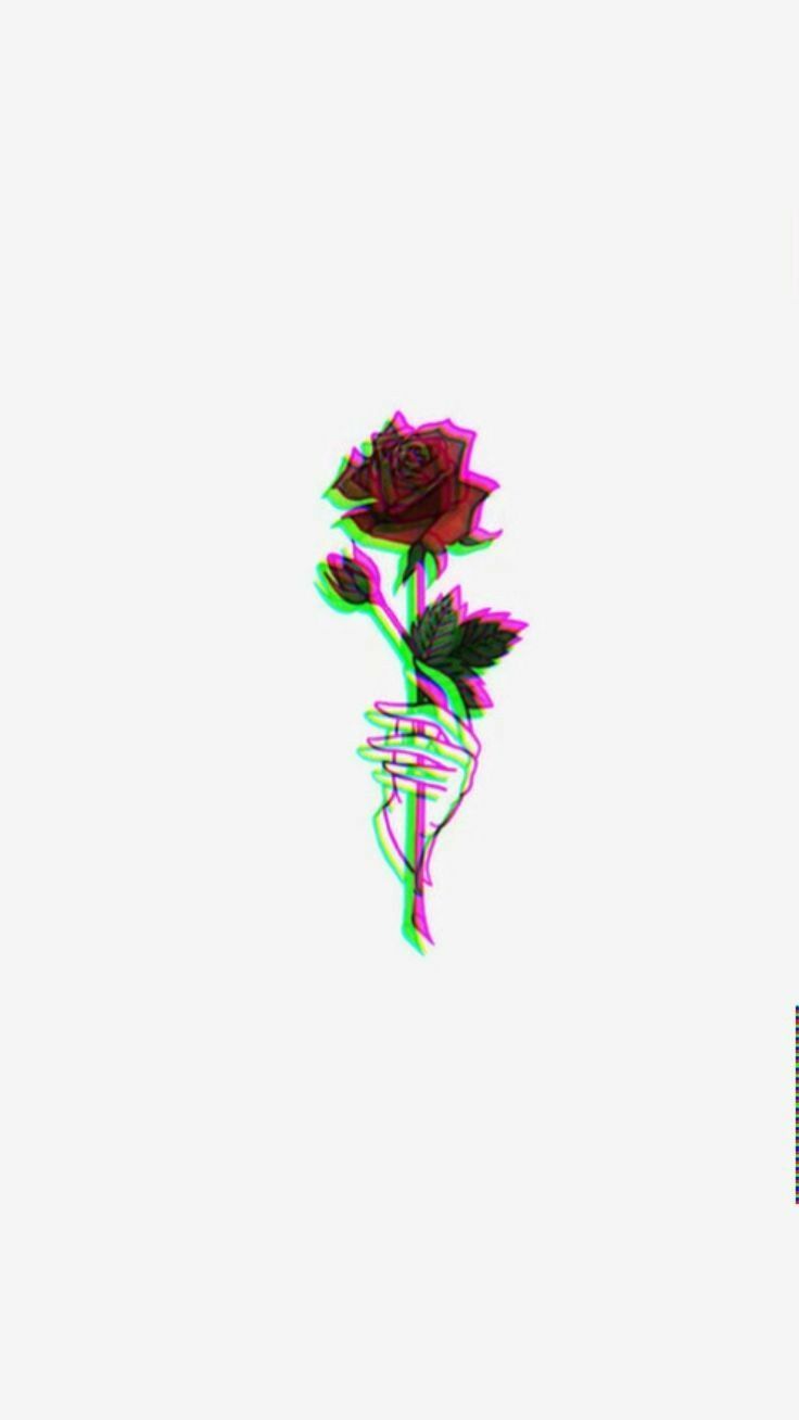 Fondos De Pantalla De Una Rosa - HD Wallpaper 