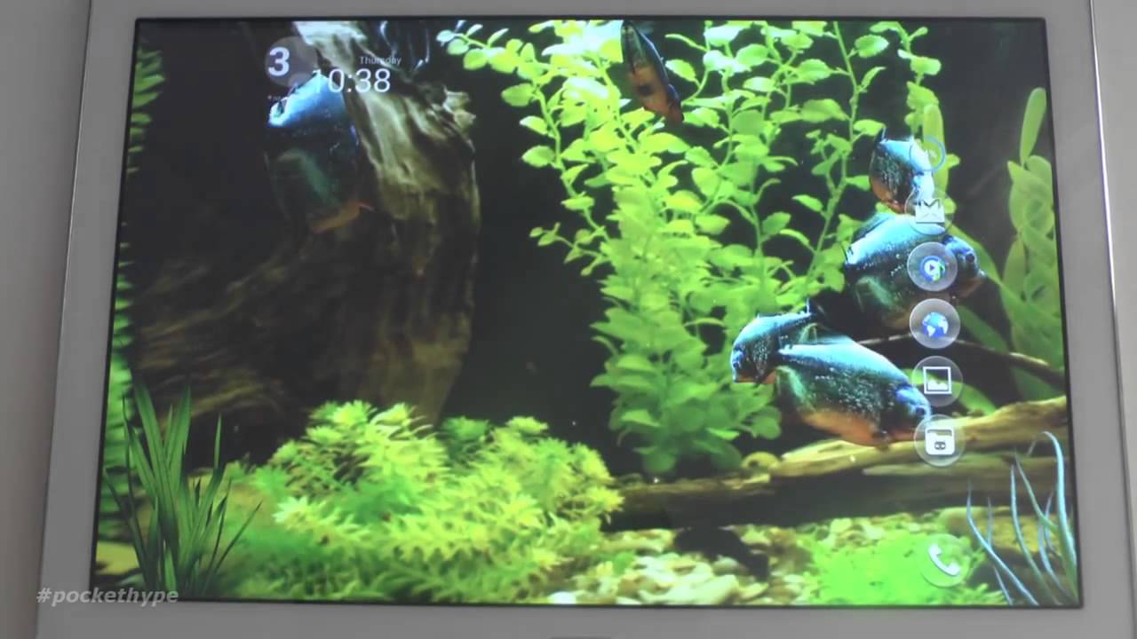 Aquarium - HD Wallpaper 