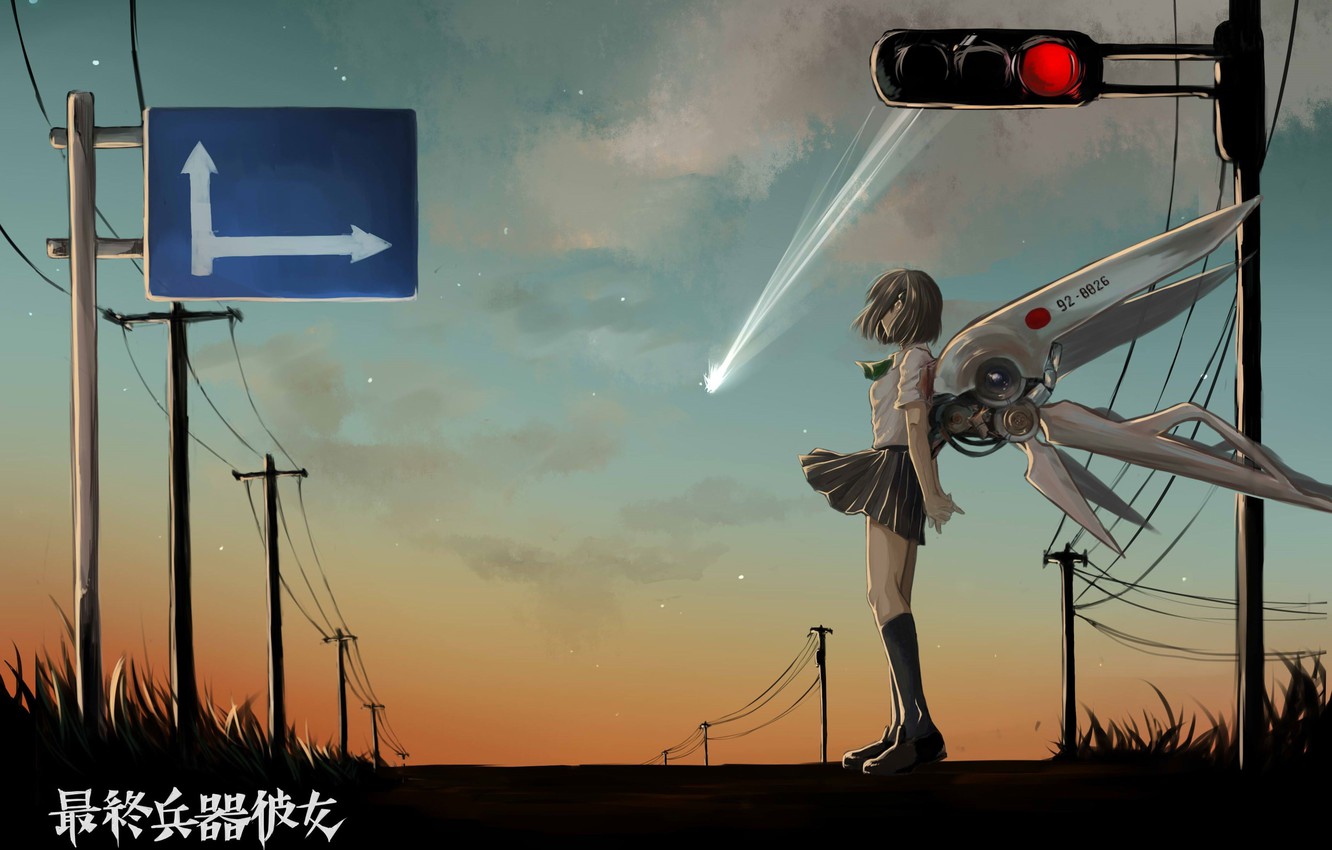 Photo Wallpaper Girl, Mecha, Anime, Asian, Manga, Japanese, - Final Weapon She - HD Wallpaper 