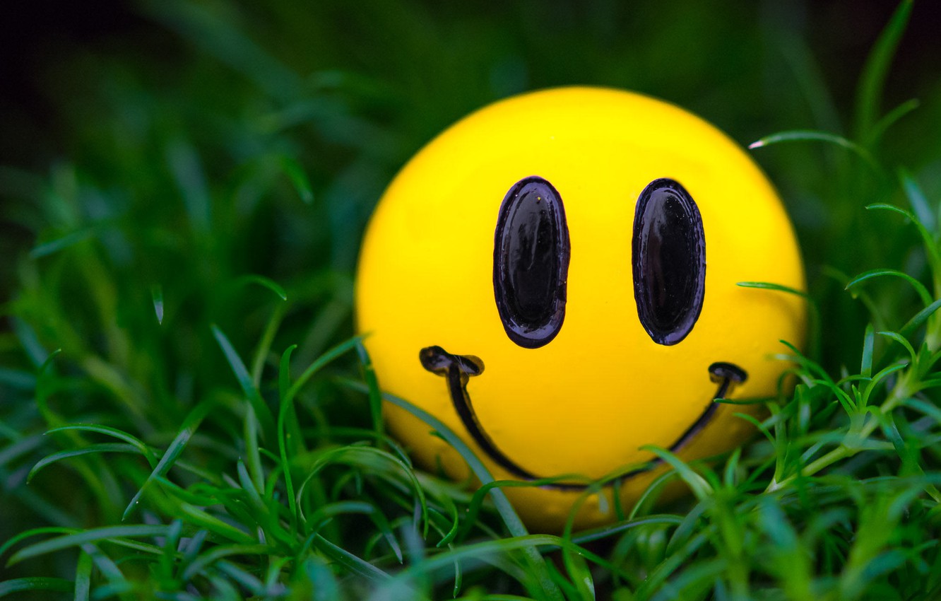 Photo Wallpaper Grass, Macro, Smile, Smiley - Desktop Smiley Wallpaper Hd - HD Wallpaper 
