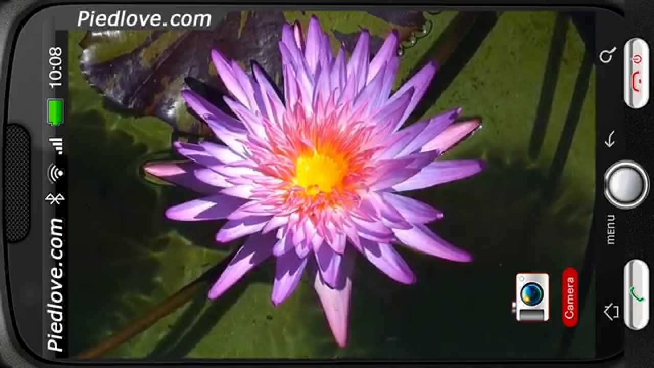 Happy New Year Wallpaper Live - HD Wallpaper 