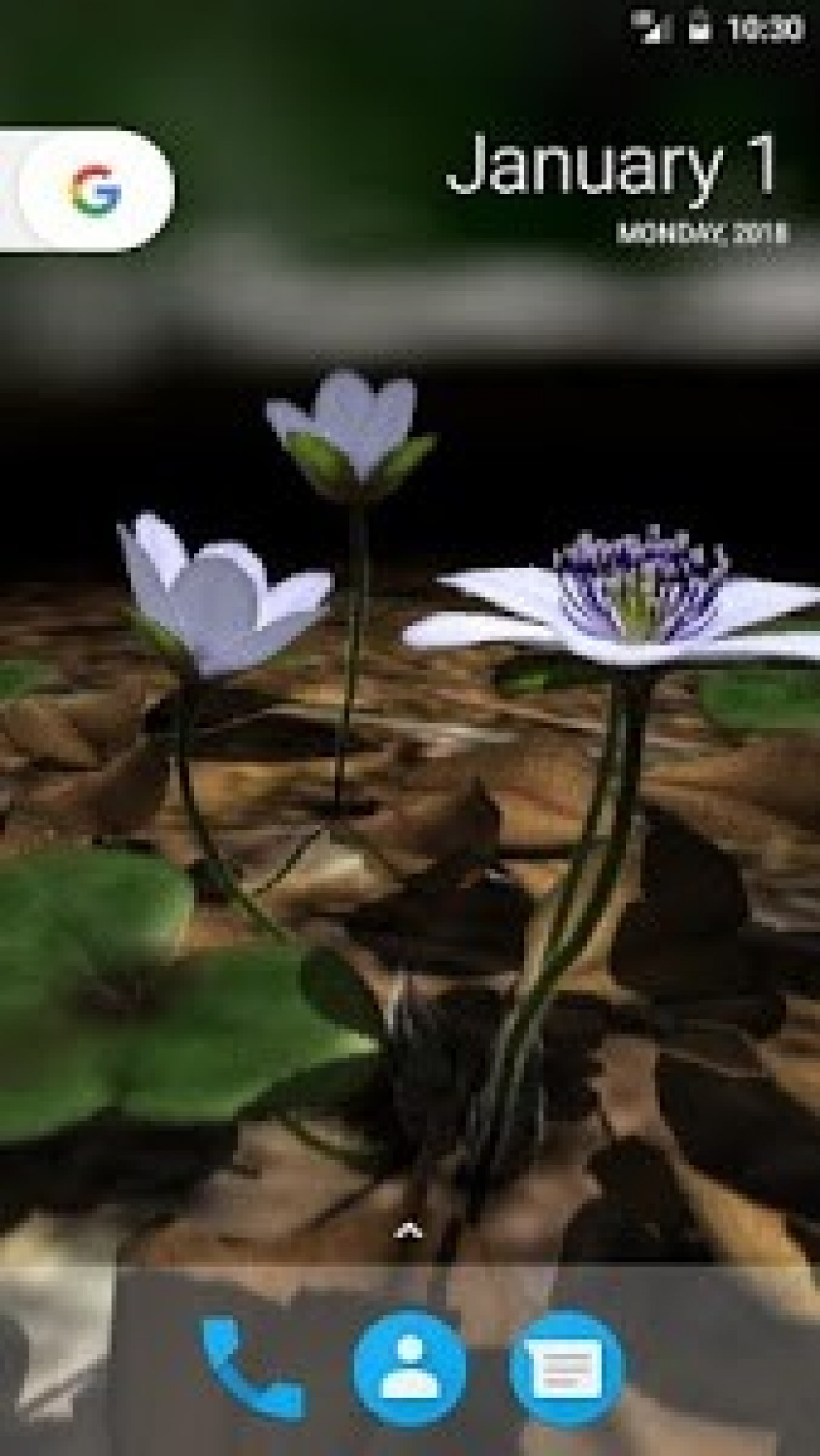 Yukiwarisou 3d Live Wallpaper Pro V1 - Sacred Lotus - HD Wallpaper 