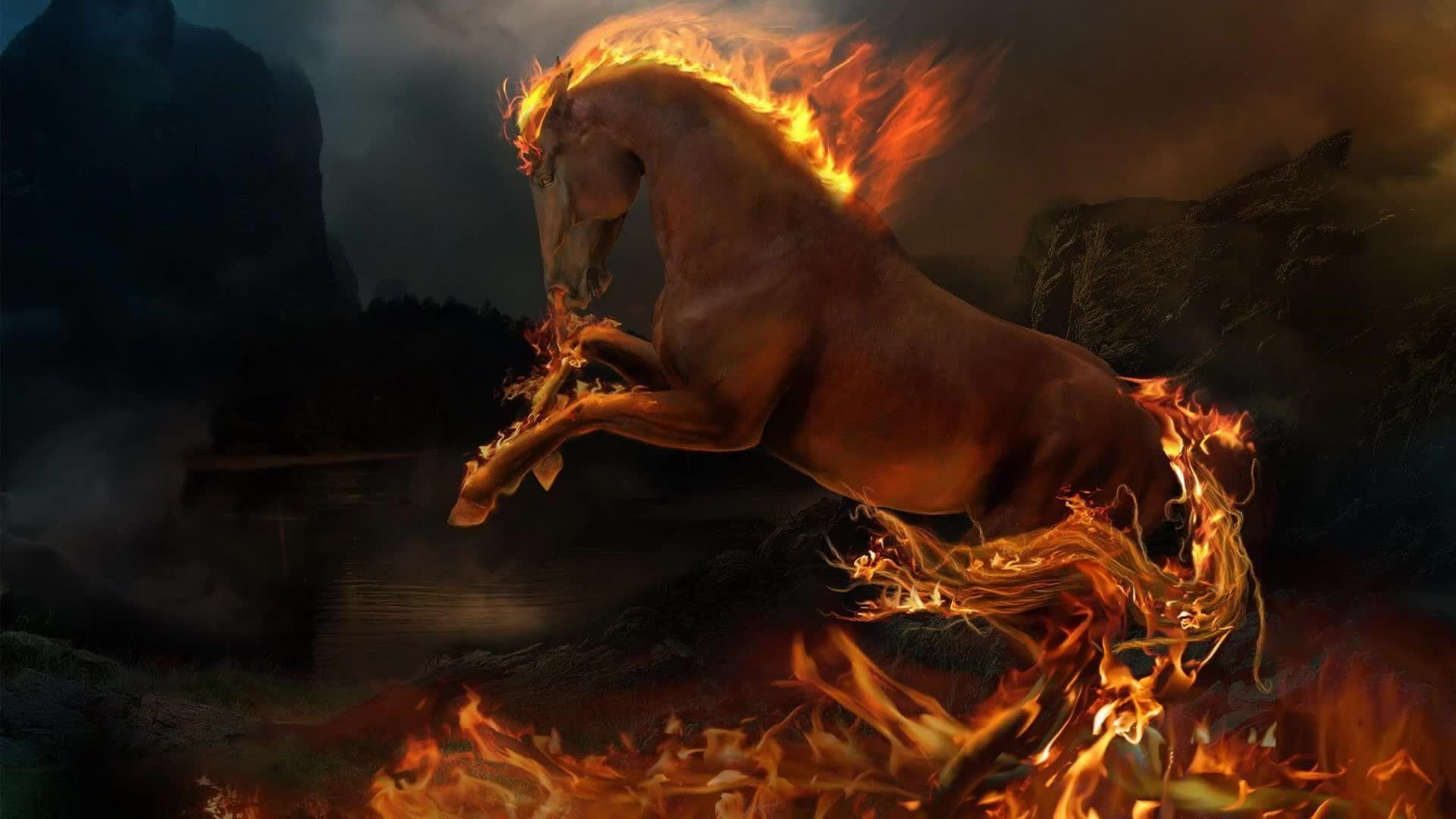 Flame Horse - HD Wallpaper 