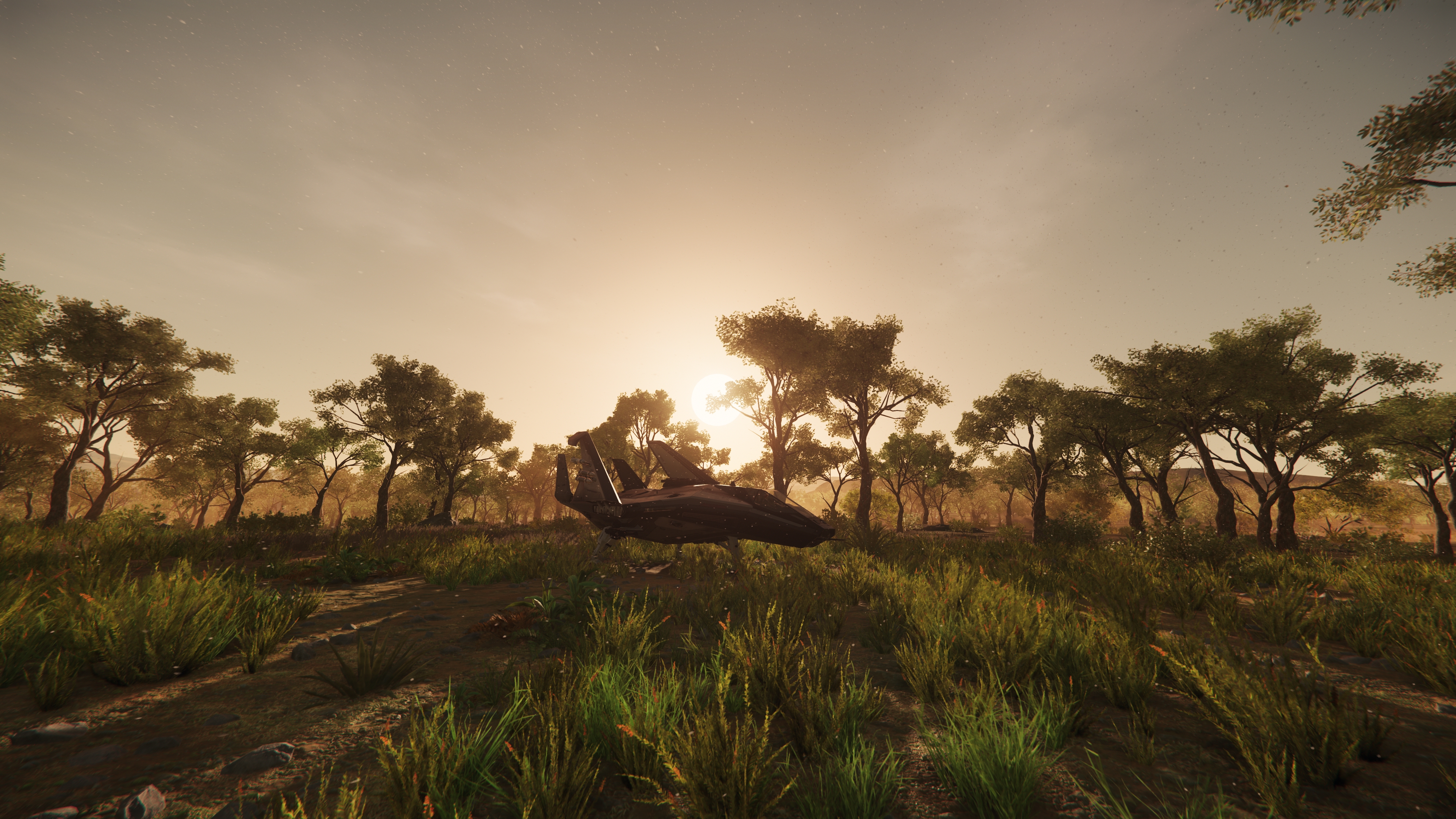 Sweet Grass - HD Wallpaper 