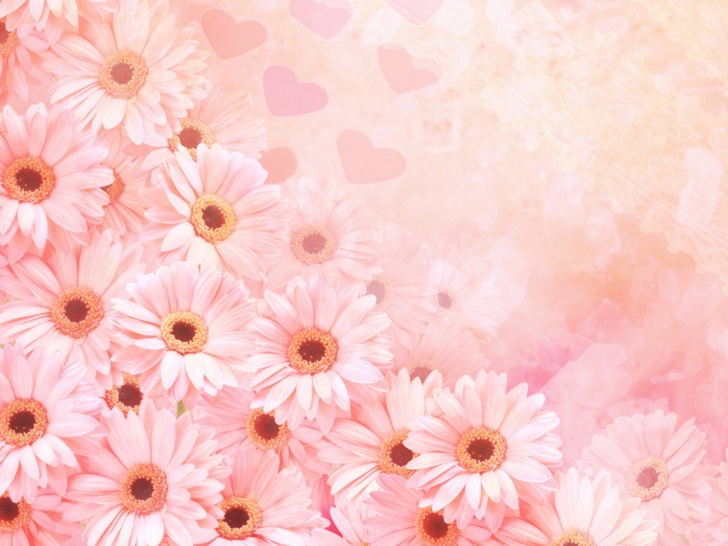 Cute Pink Flower Template Backgrounds - Cute Flower Powerpoint Background - HD Wallpaper 