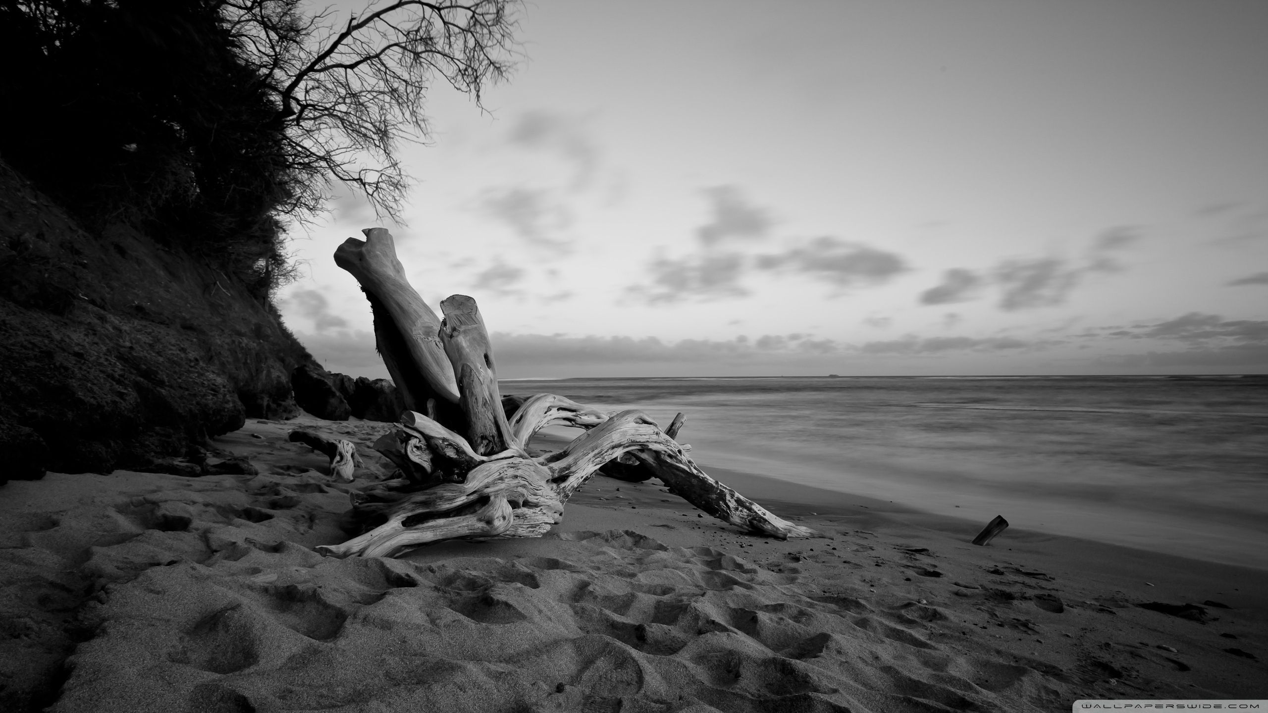 Hd Black And White Beach - HD Wallpaper 