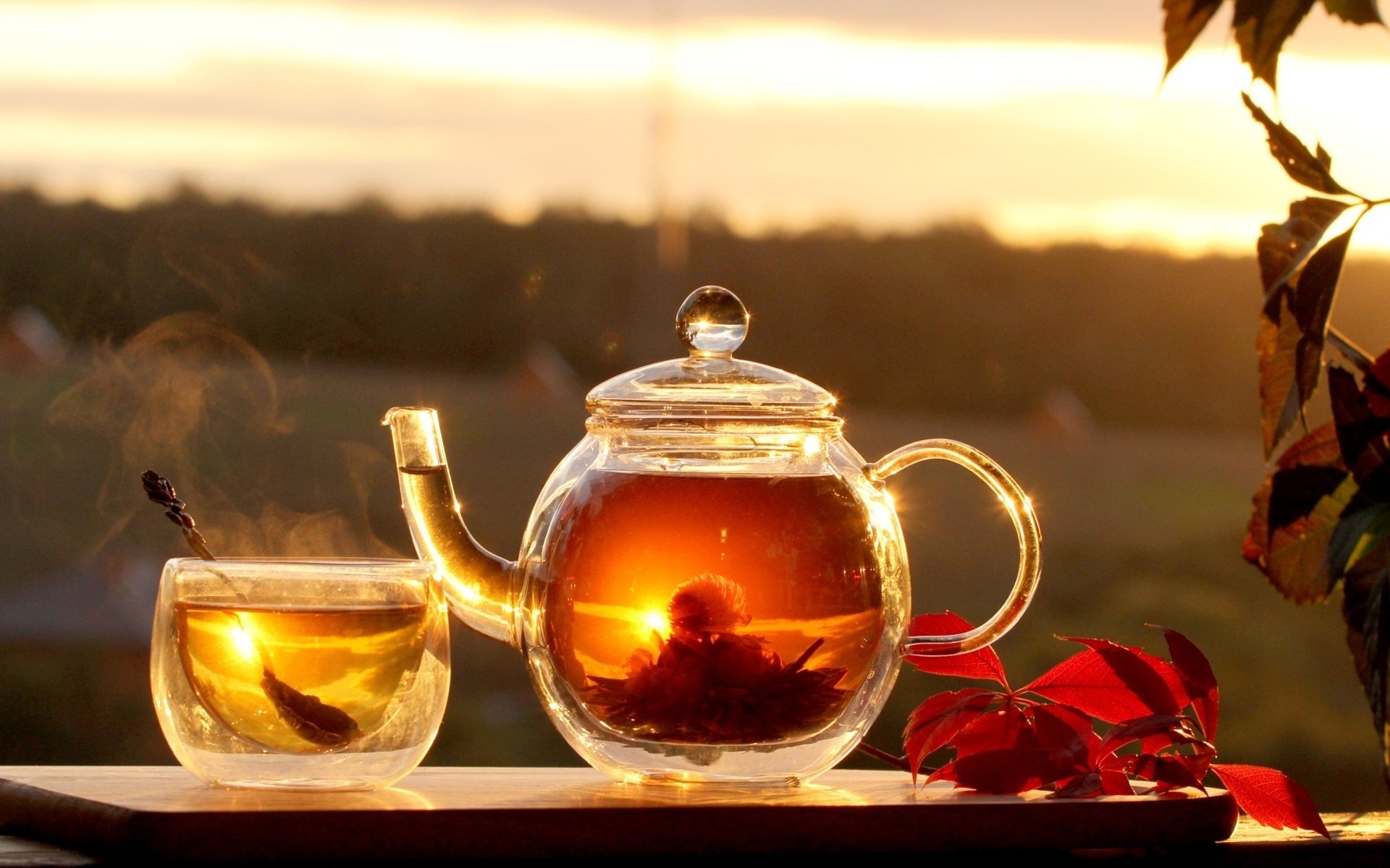 Free Tea In The Morning Food, Computer Desktop Wallpapers, - Good Morning  Sunny Day - 1920x1200 Wallpaper 