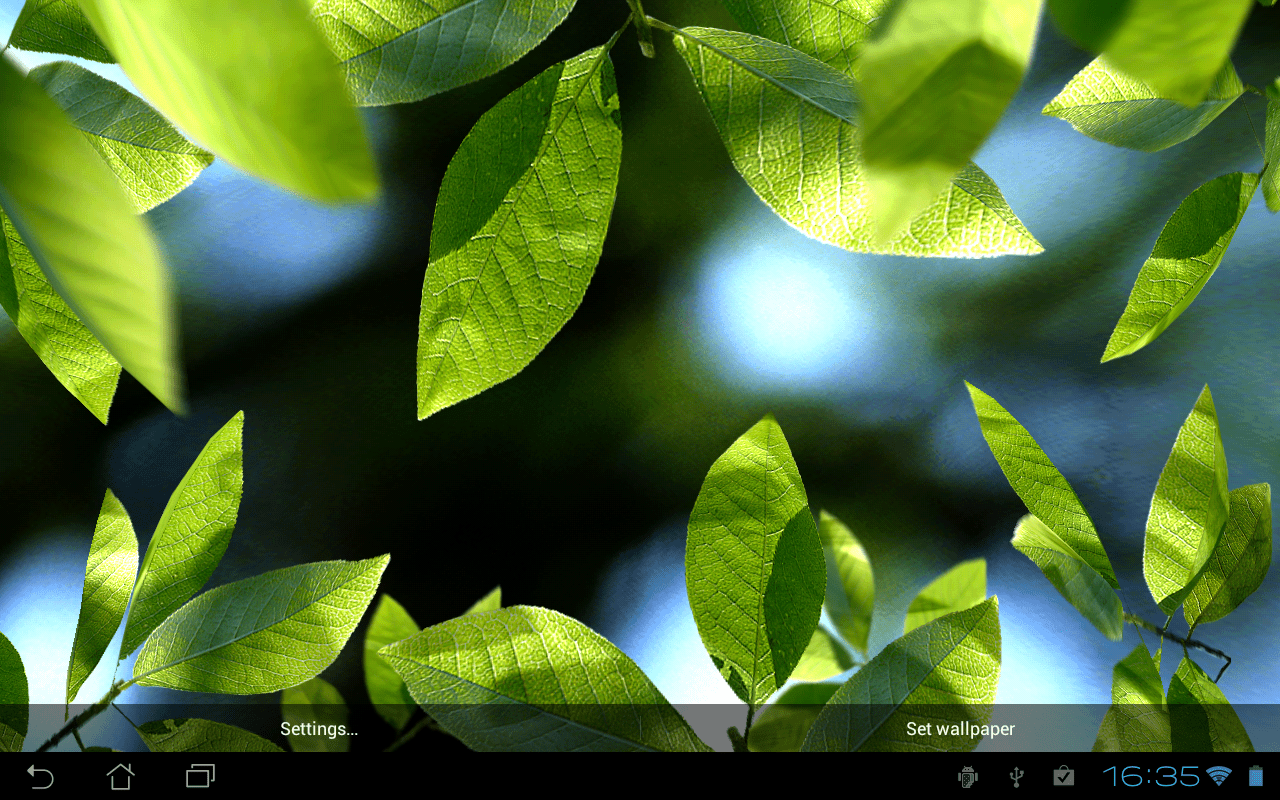 Fresh Leaves Живые Обои - Leaf Background Live - HD Wallpaper 