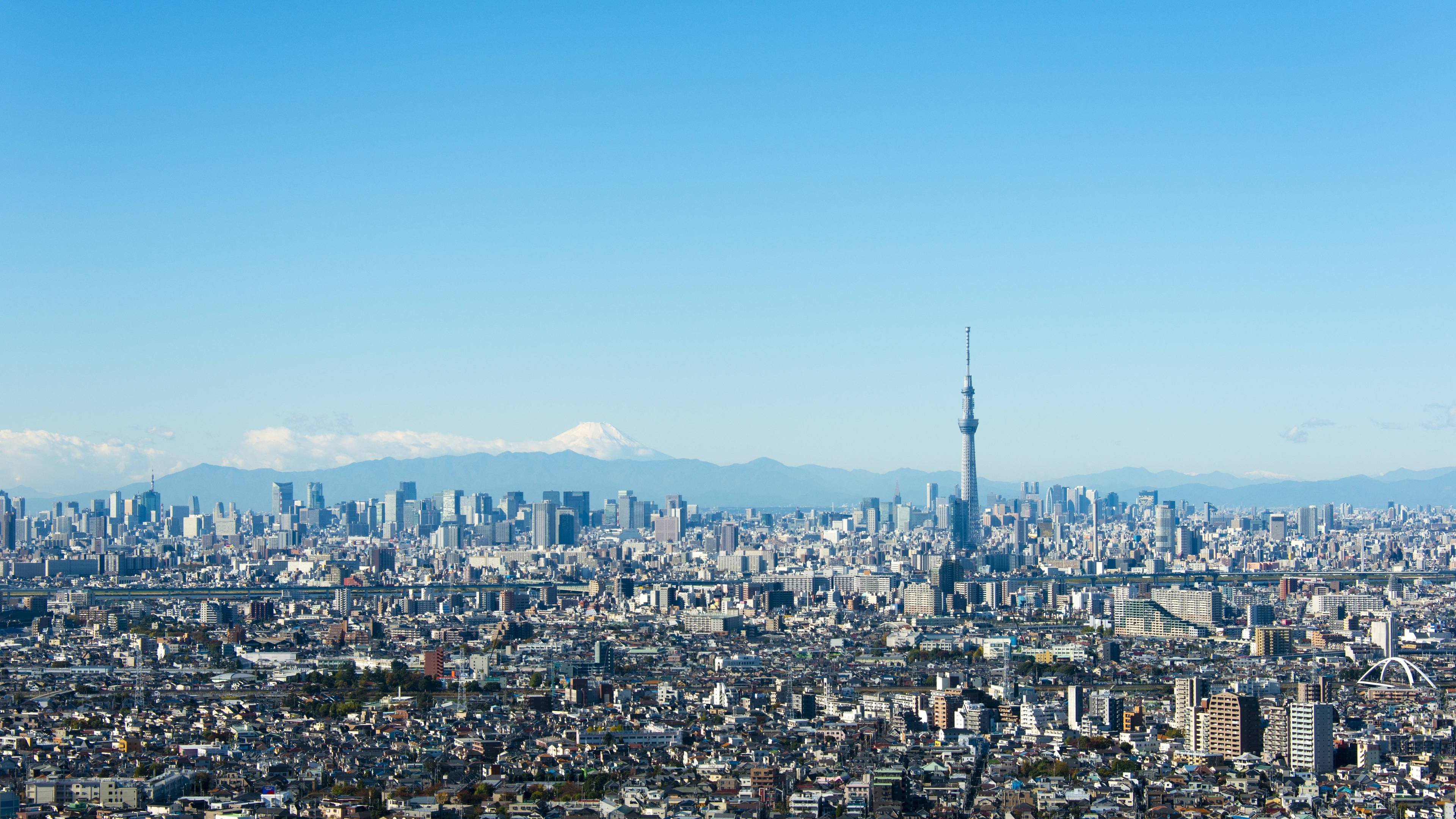 mt fuji view from tokyo skytree