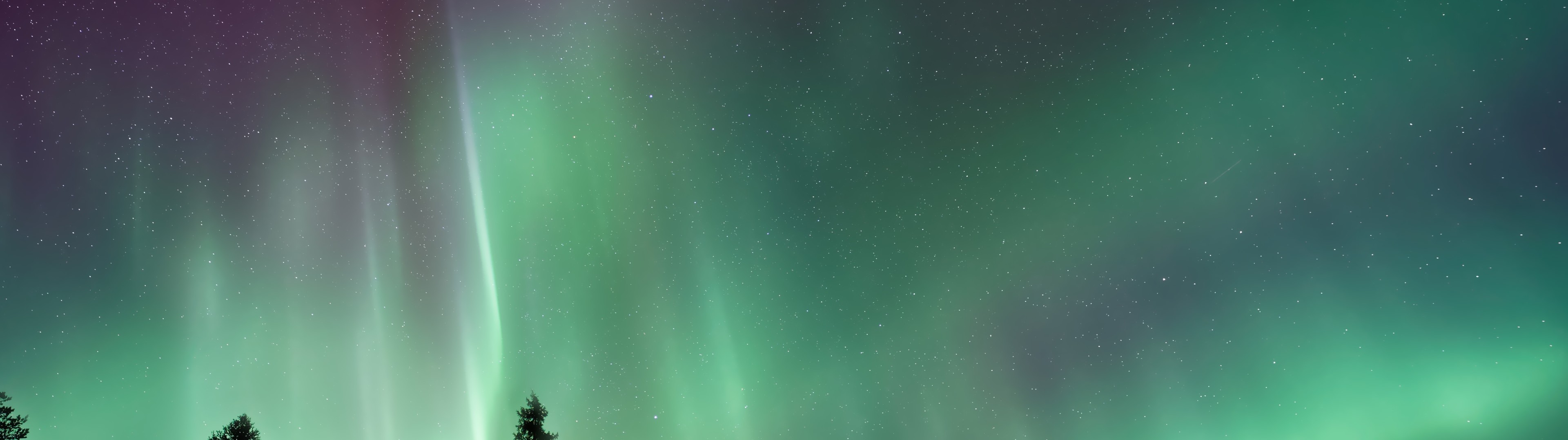 Aurora, Green, Trees, Sky, Northern Lights - 1080 X 3840 Wallpaper Northern Lights - HD Wallpaper 
