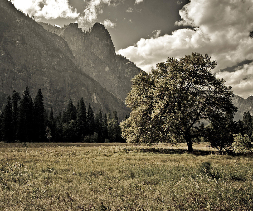 Samsung Galaxy Fit S5670 - HD Wallpaper 