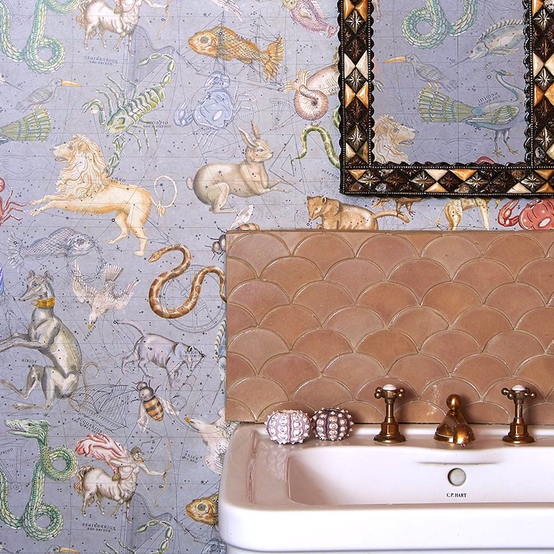 House Of Hackney Cosmos 800x800 Wallpaper Teahub Io