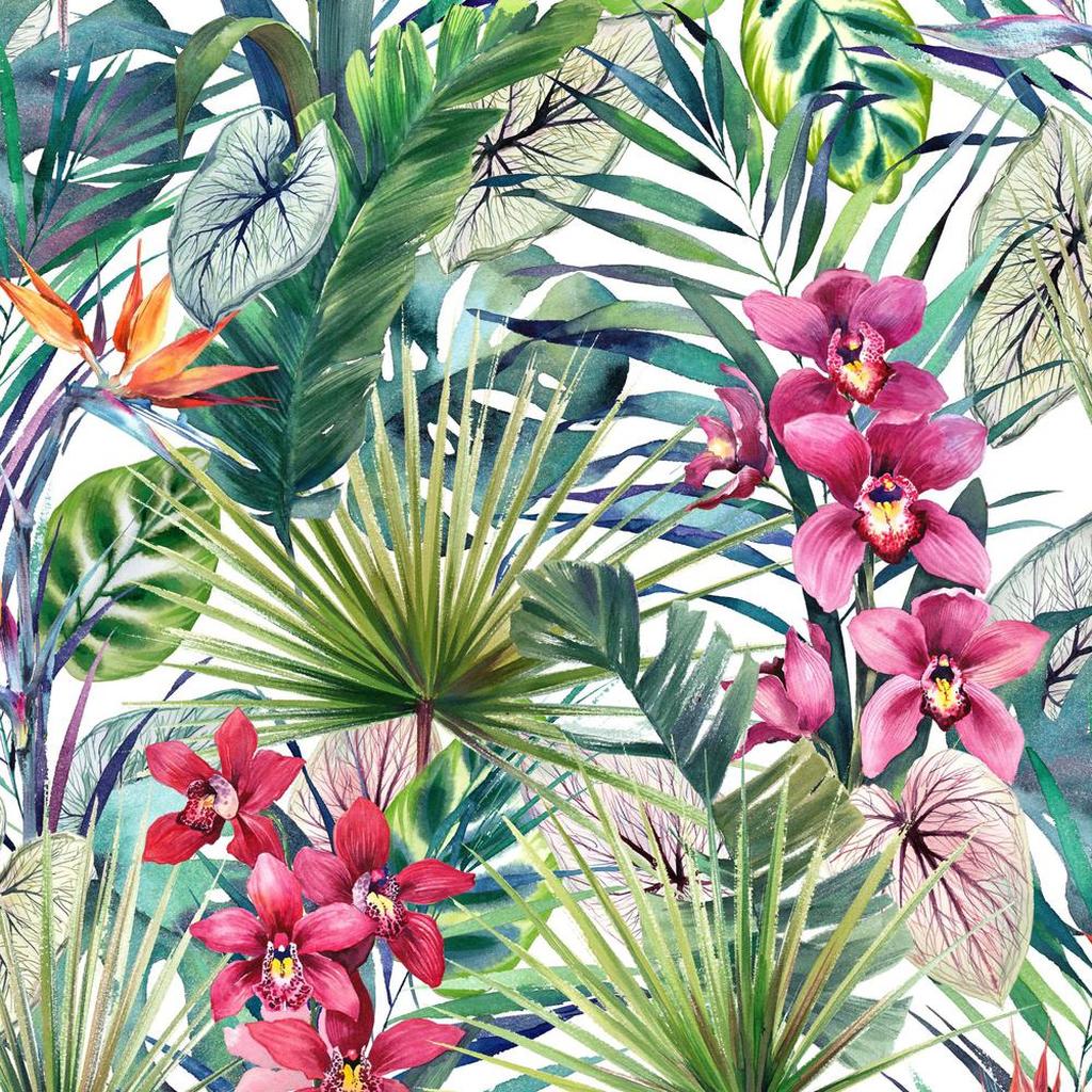 Aloha Tropical Multi Wallpaper - Aloha Tropical - HD Wallpaper 