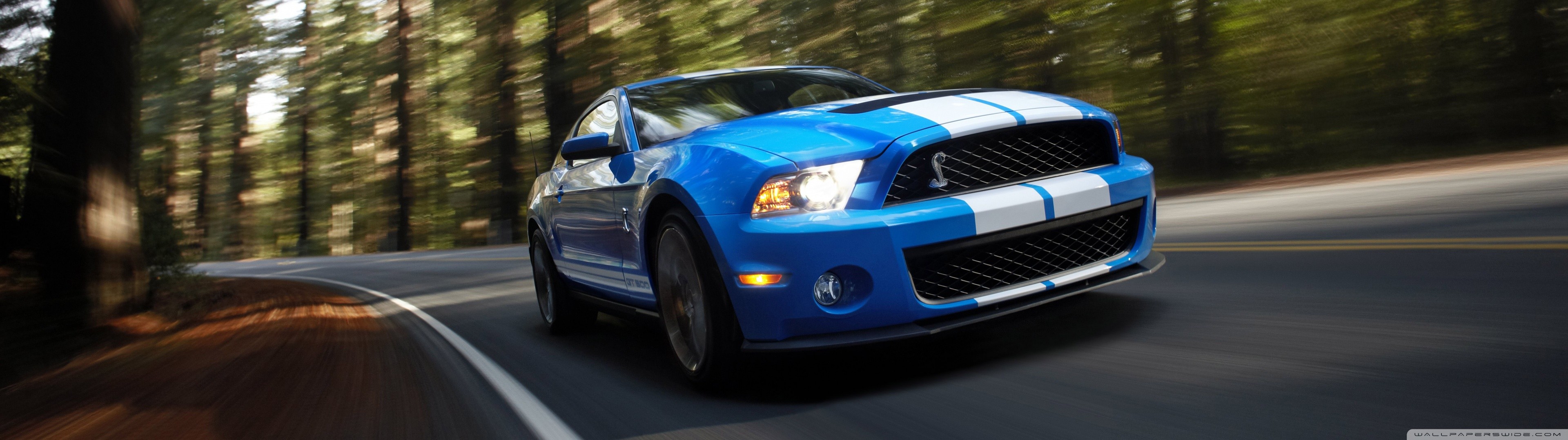 Car Wallpaper Car Wallpapers Hd Desktop And Mobile - Ford Mustang Shelby Gt500 2010 - HD Wallpaper 