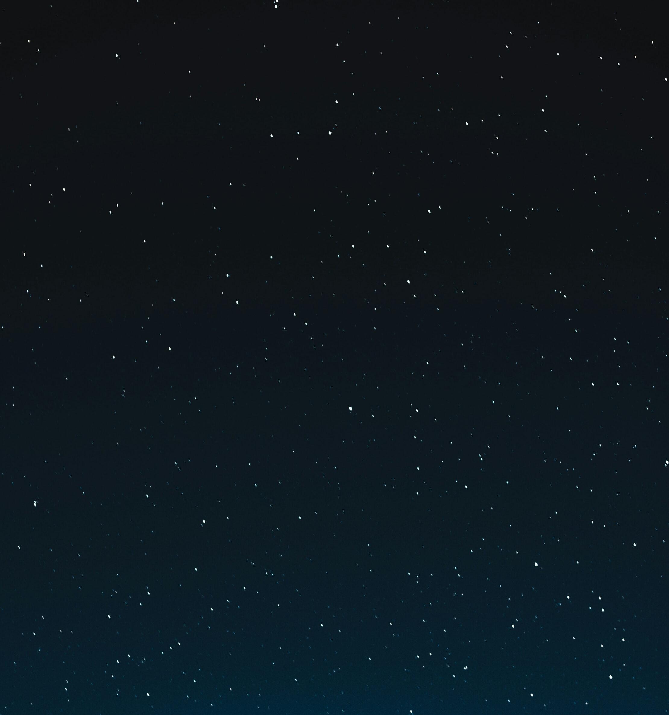 Wallpaper - HD Wallpaper 