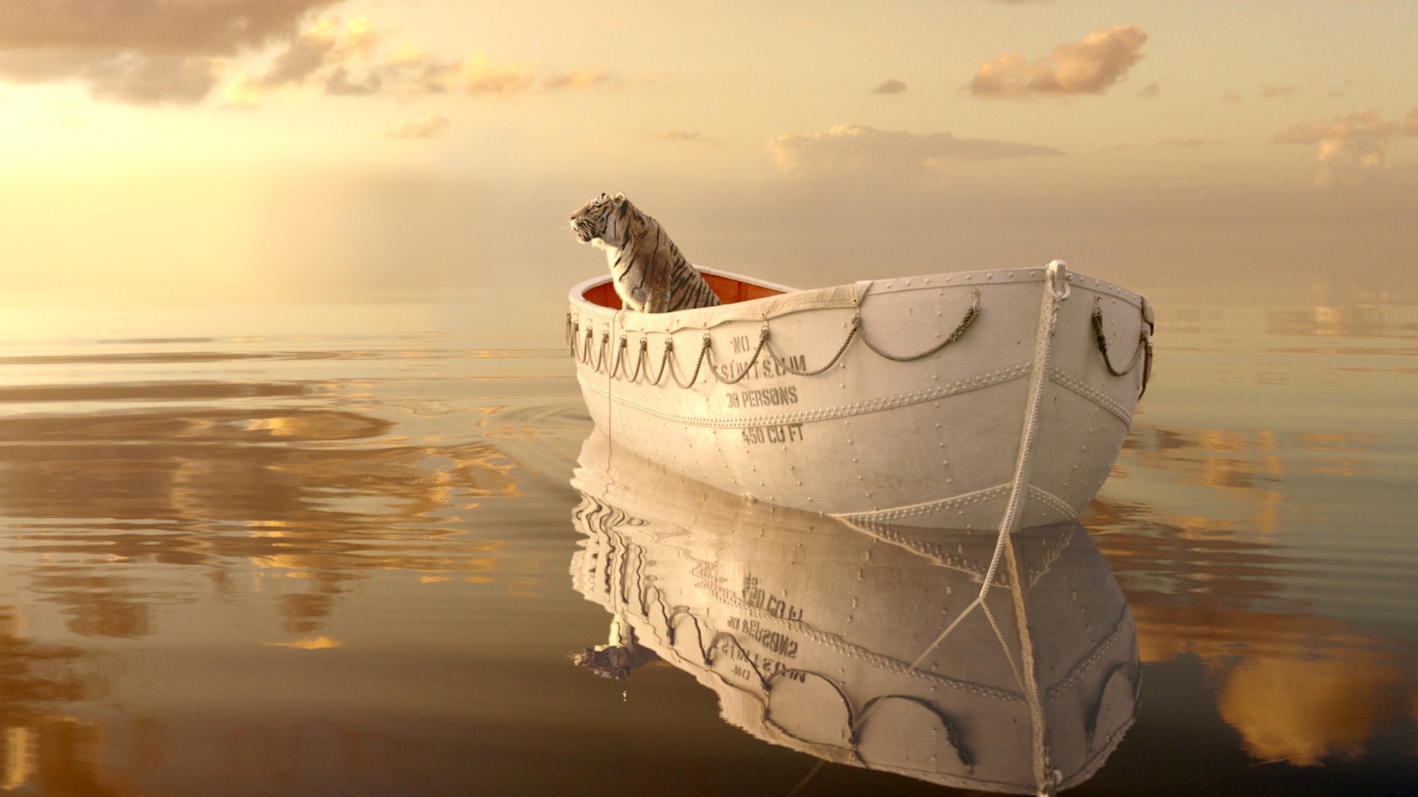 Life Of Pi Wallpaper Hd - HD Wallpaper 