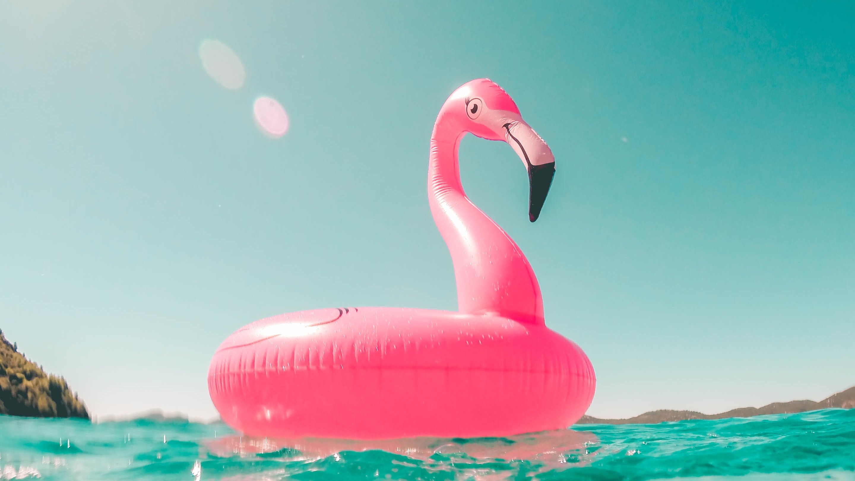 Flamingo Air Toy In Pool Summer Wallpaper - Flamingo Floating In Water - HD Wallpaper 