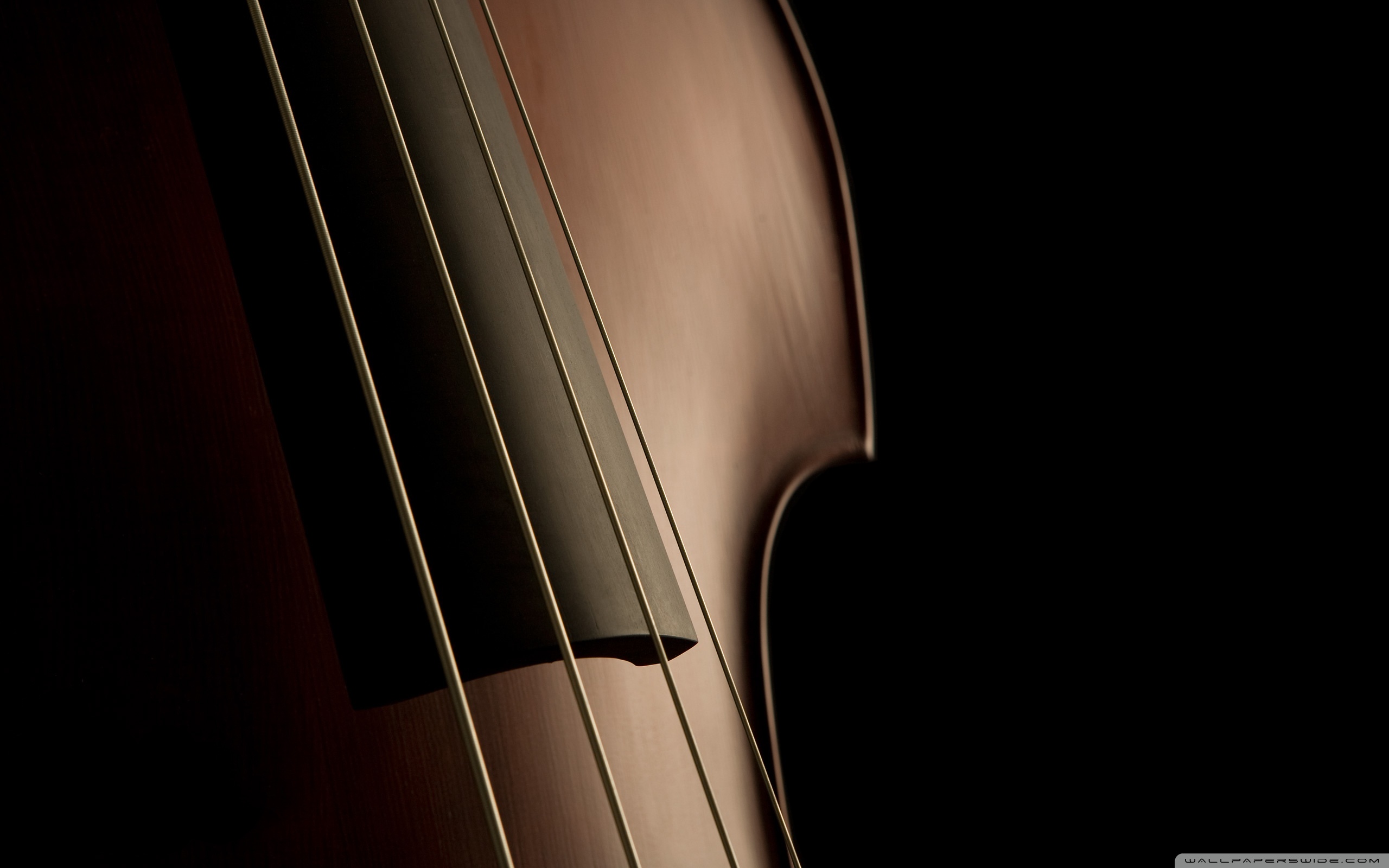 Double Bass High Resolution - HD Wallpaper 