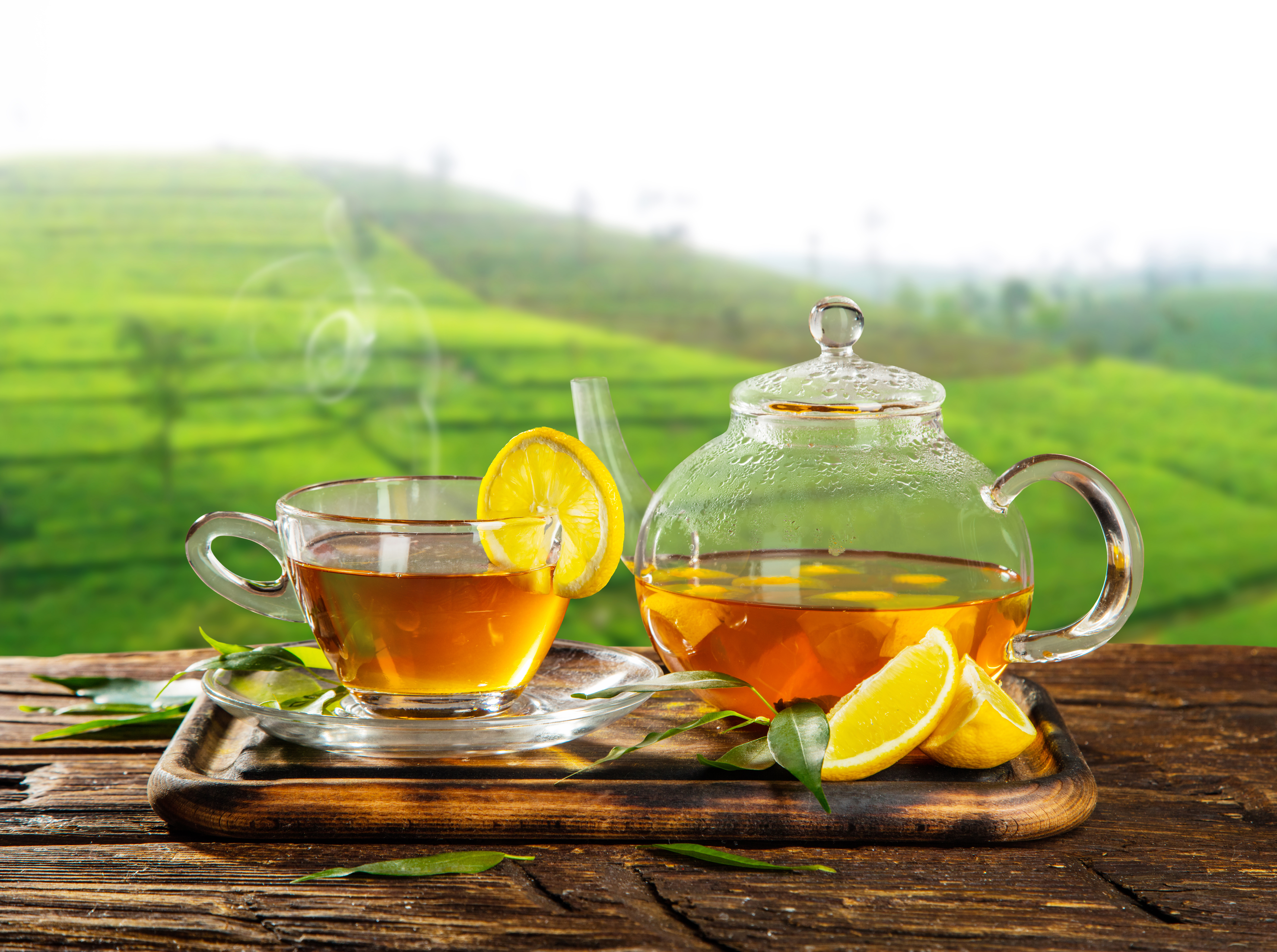 Tea - HD Wallpaper 