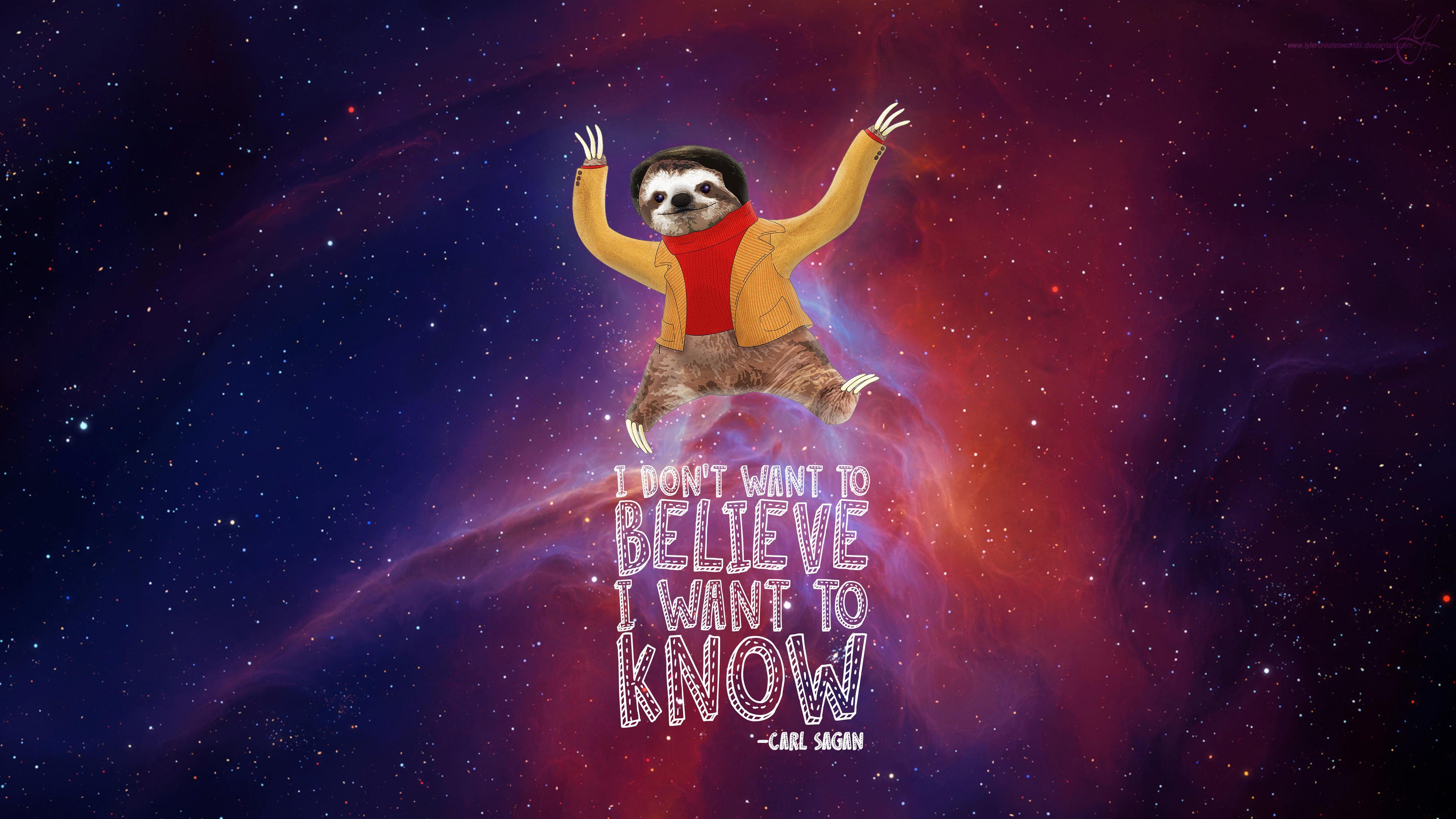 Carl Sagan Sloth - HD Wallpaper 