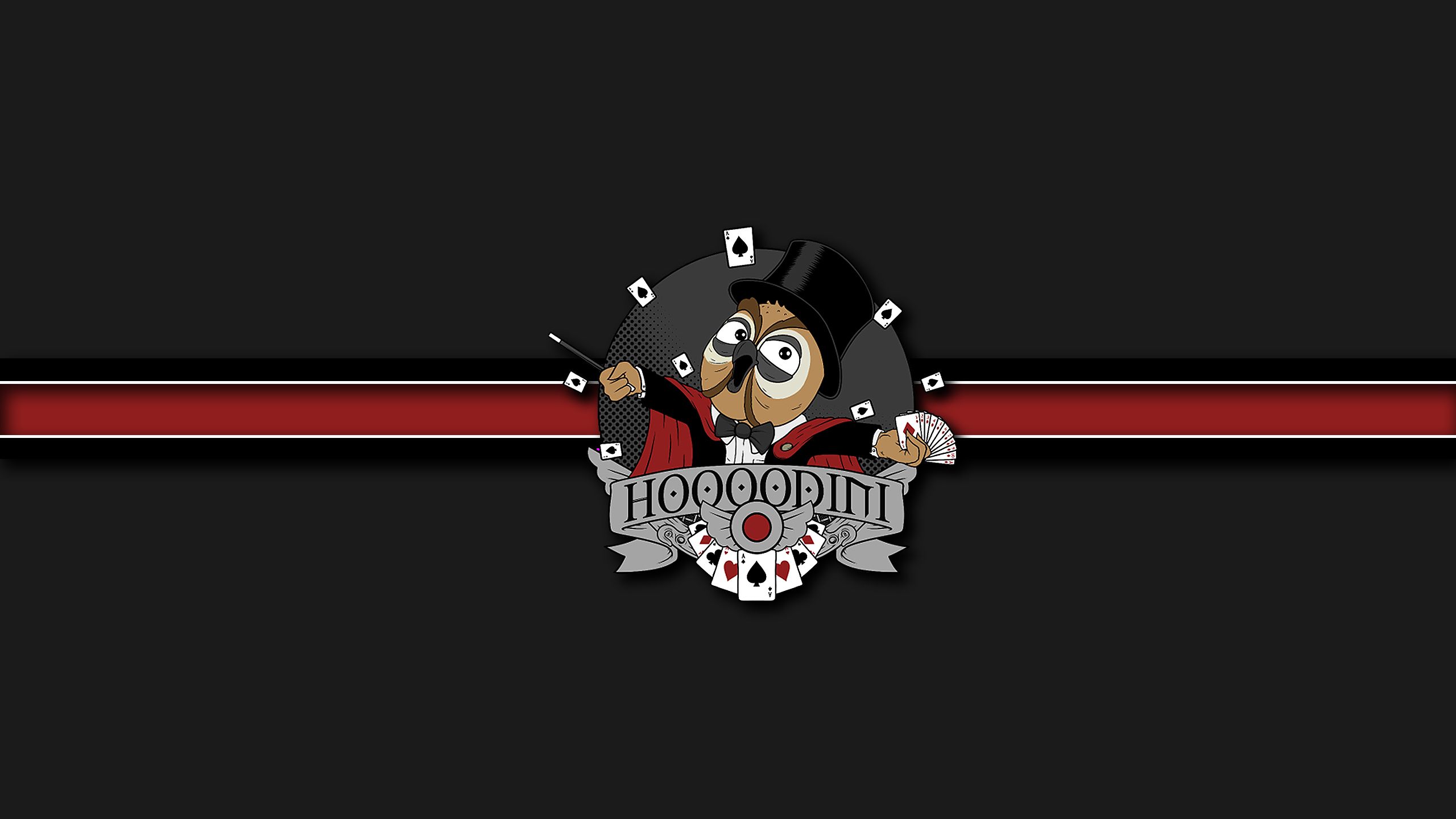 Sir Hoodini - Vanossgaming Hoodini - HD Wallpaper 
