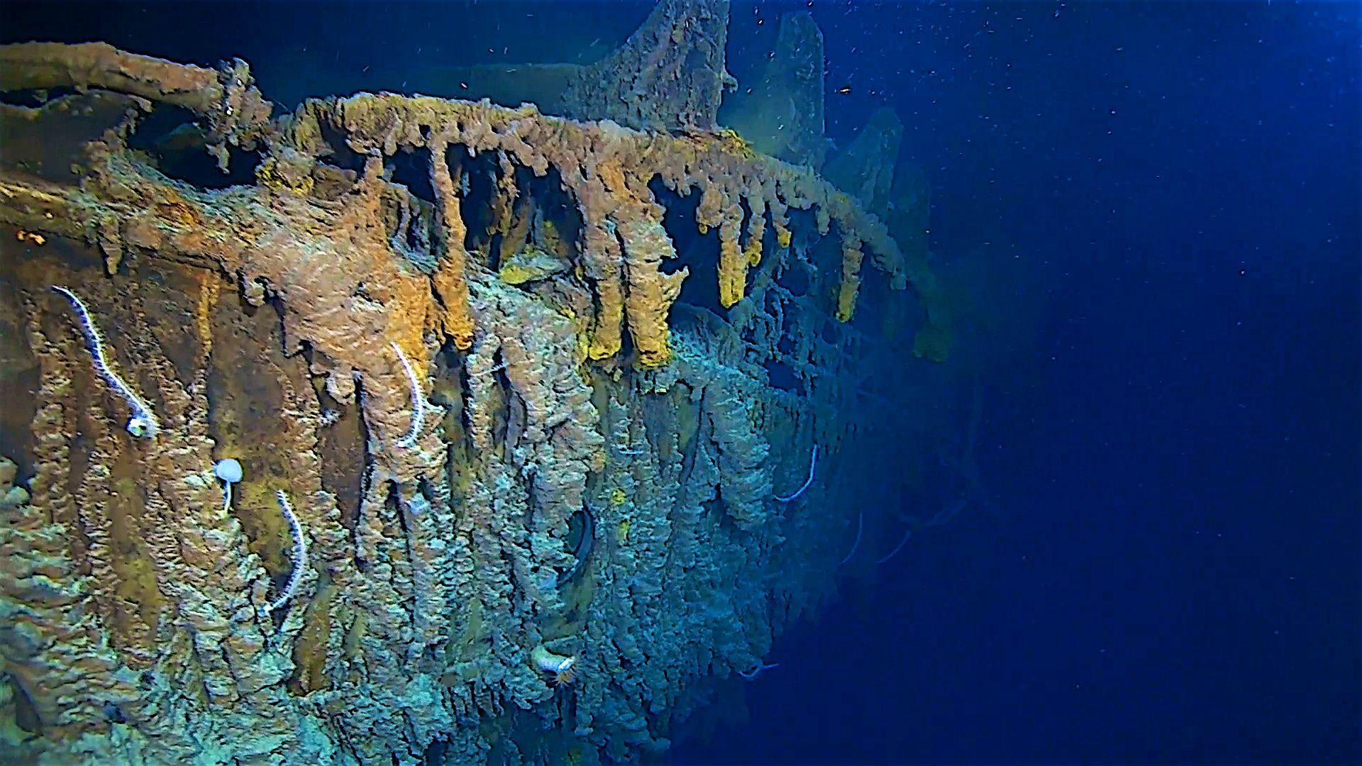 Salt Corrosion And Metal-eating Bacteria Are Causing - Titanic 2019 - HD Wallpaper 