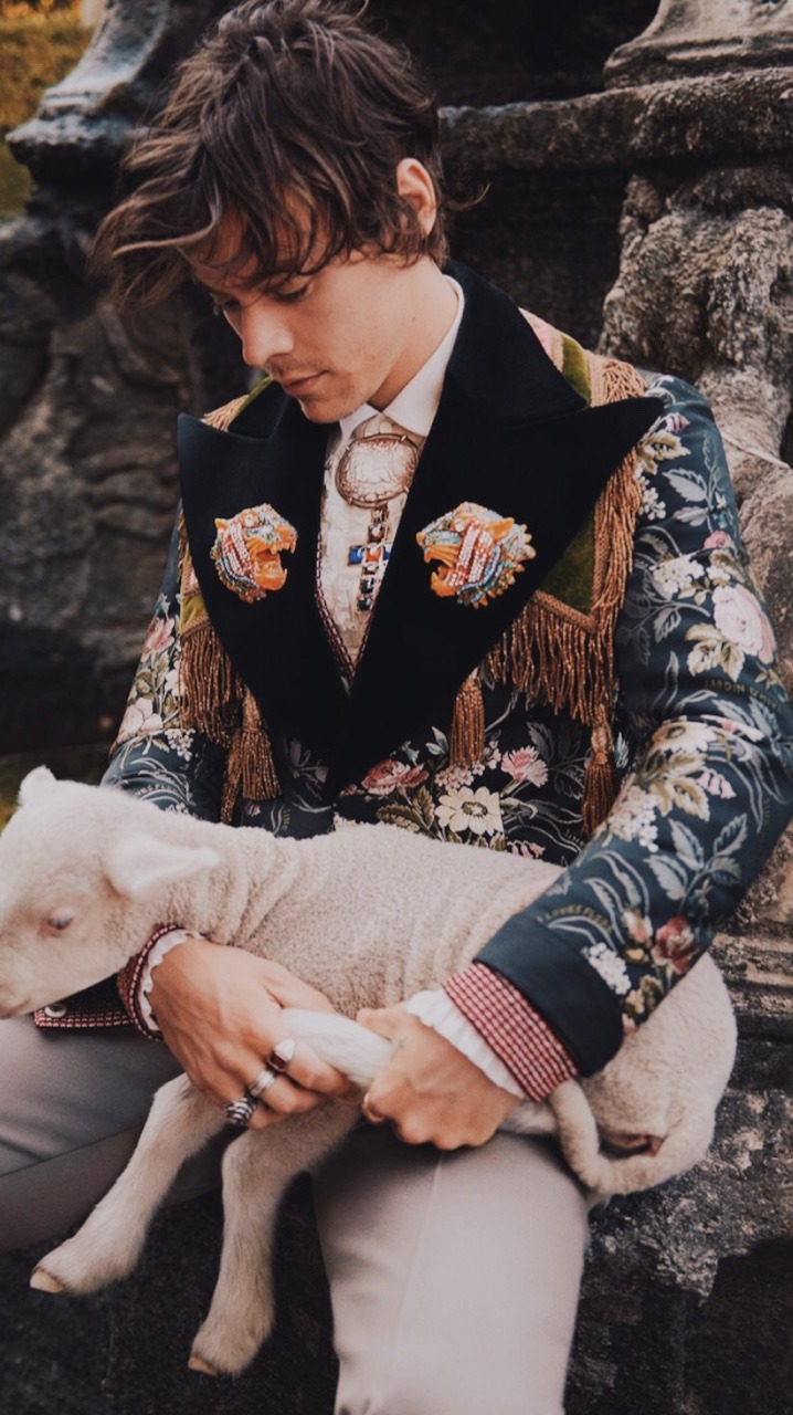 Image - HD Wallpaper 