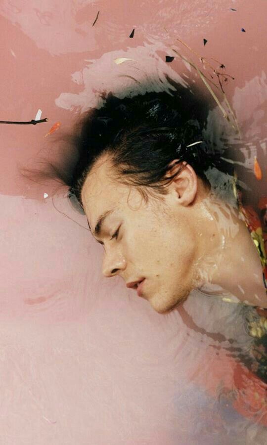 Harry Styles Harley Weir - 540x900 Wallpaper Harry Styles Harley Weir - 540x900 Wallpaper