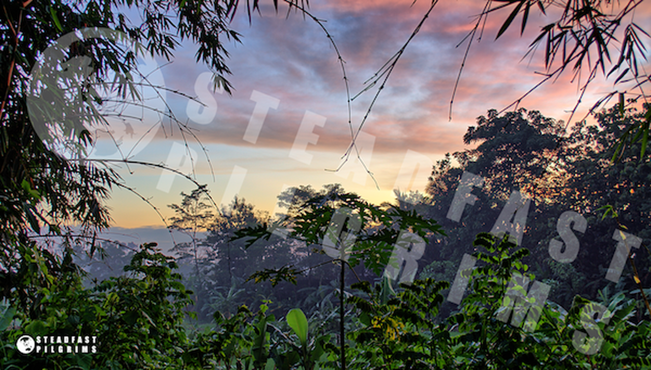 Sunset Over A Rice Farming Area In South-east Asia - Evening - HD Wallpaper 