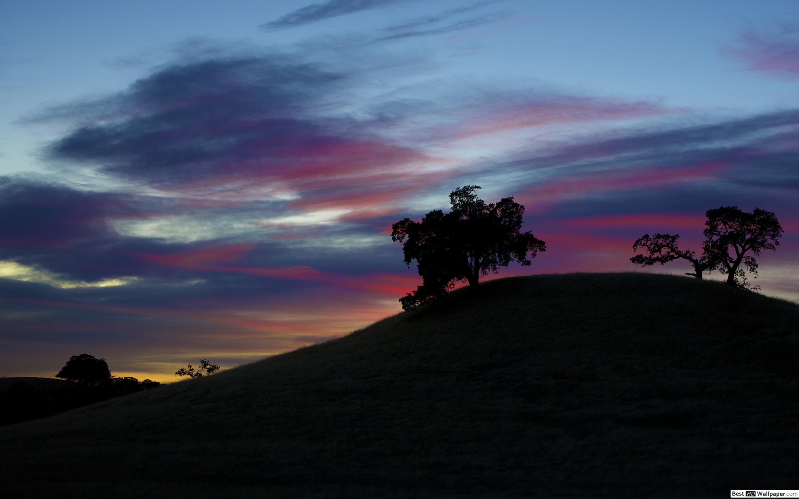 Sunset - HD Wallpaper 