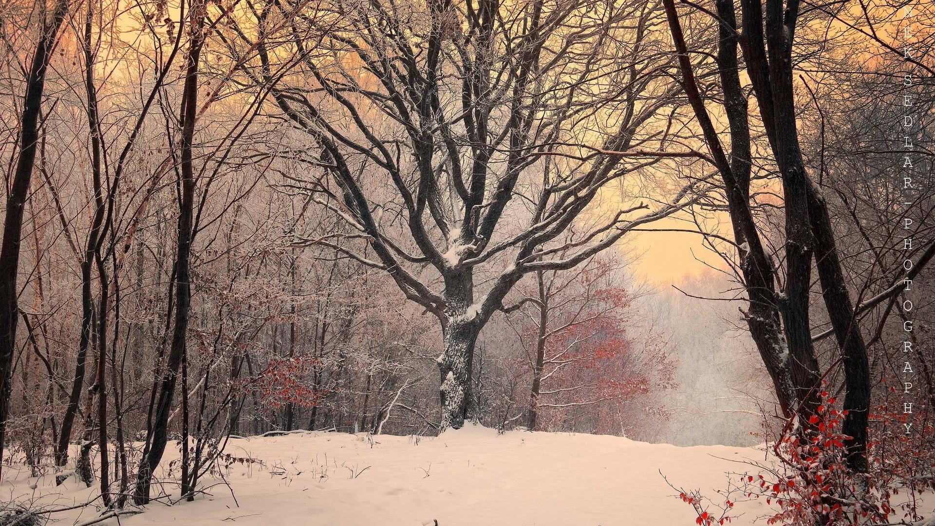 Natural Scenery Seasonal Cycle Hd Drop Dead Gorgeous - HD Wallpaper 