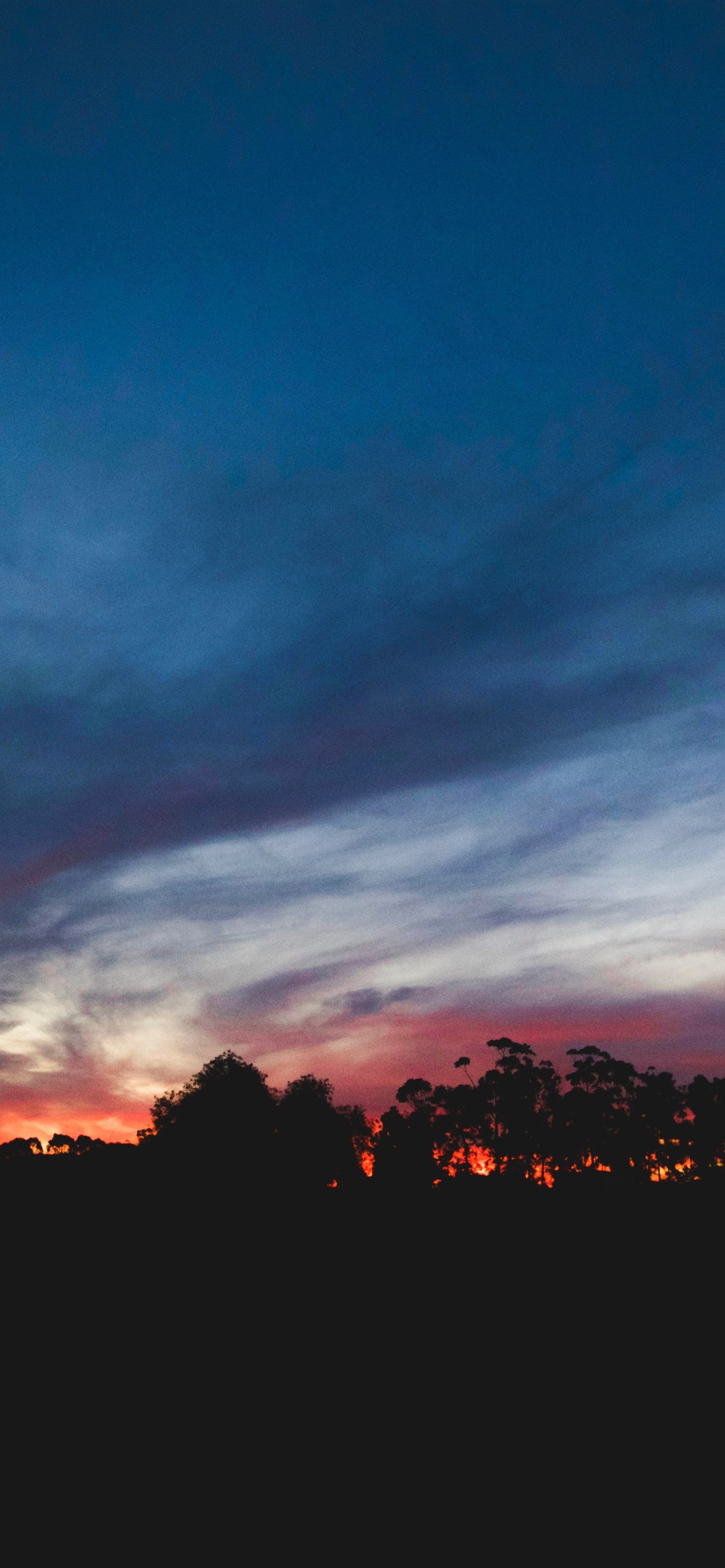 Iphone Wallpaper Sunset, Sky, Trees, Night, Silhouette - Sunset Sky Wallpaper Iphone - HD Wallpaper 