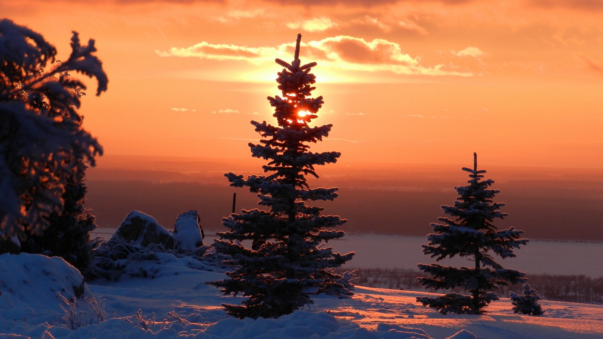 Winter Sunset And Trees - Fir Tree Snow Sunset - HD Wallpaper 