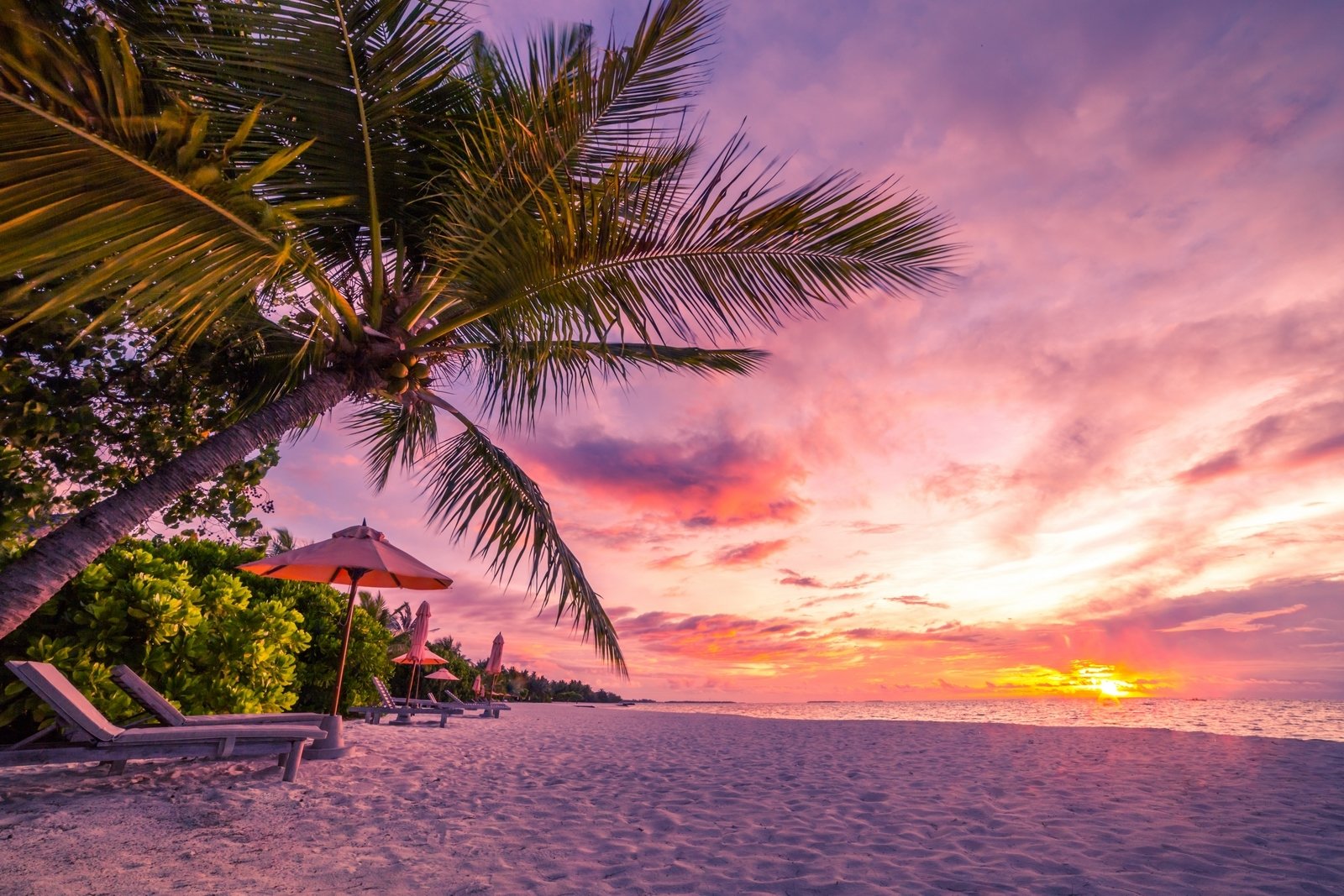 Tropical Beach Sunset Background - HD Wallpaper 