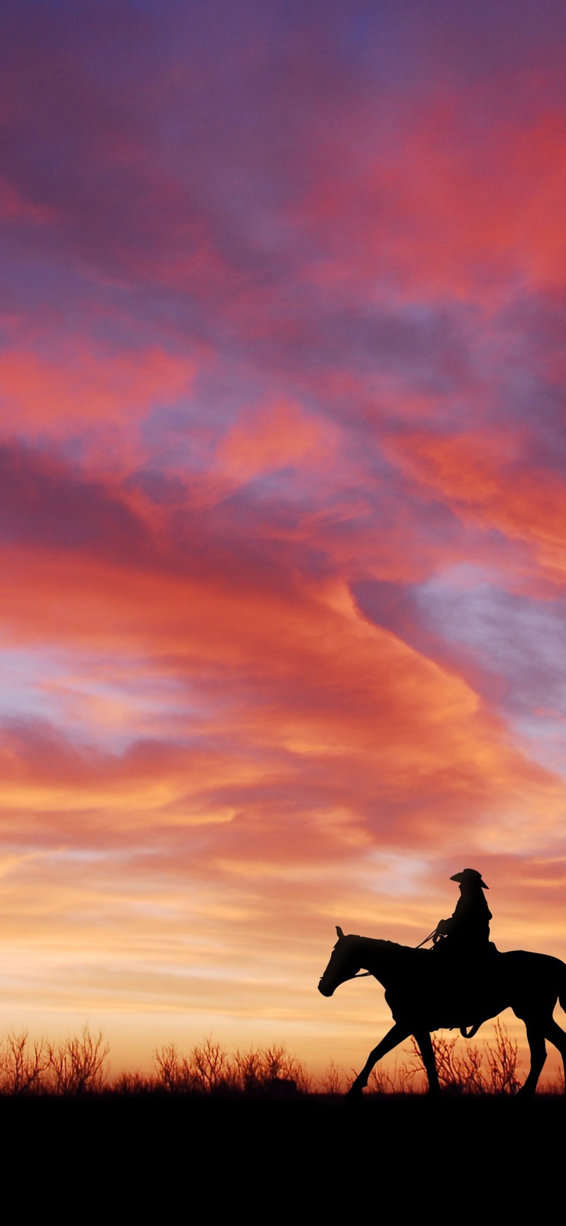 Cowboy, Sunset, Sky, Field, Horses - Happy Labor Day Horse - HD Wallpaper 
