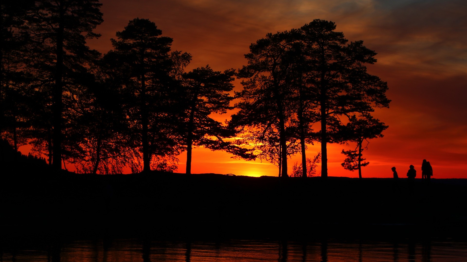 Wallpaper - 1920x1080 Wallpaper - teahub.io