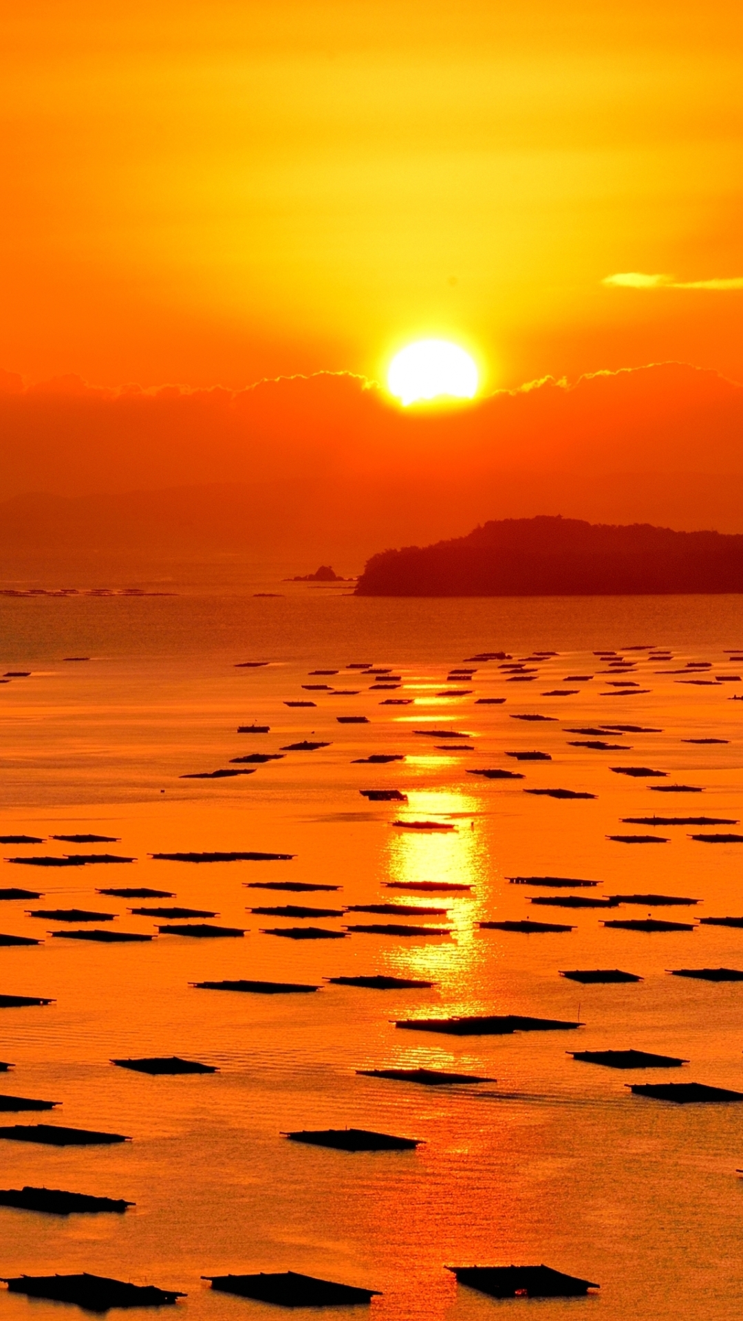 Wallpaper - HD Wallpaper 
