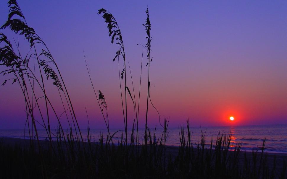 Purple Sunset On The Beach Wallpaper,scenery Hd Wallpaper,1920x1200 - Charleston South Carolina Sunrise - HD Wallpaper 