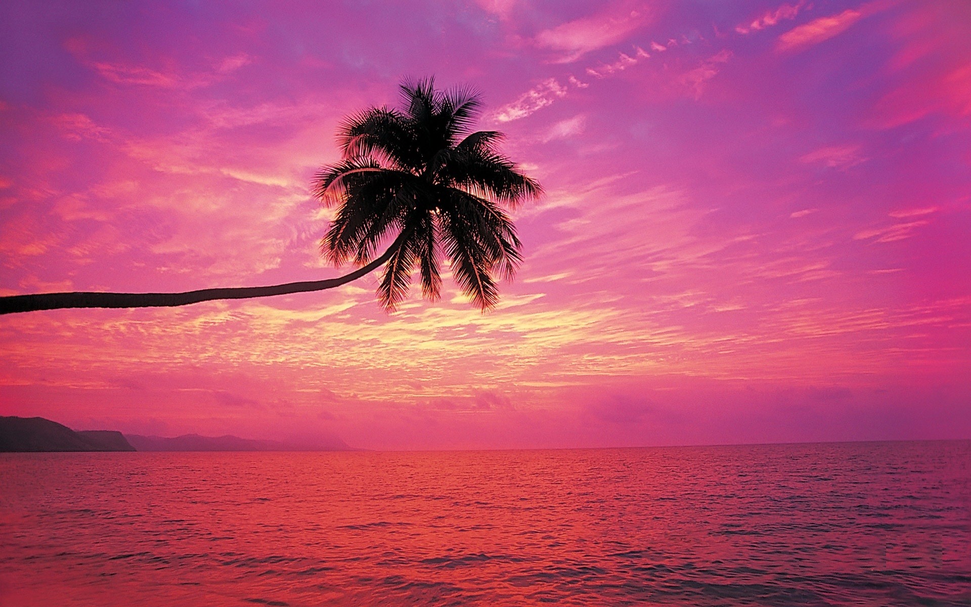Pink Sunset Ocean Background - HD Wallpaper 