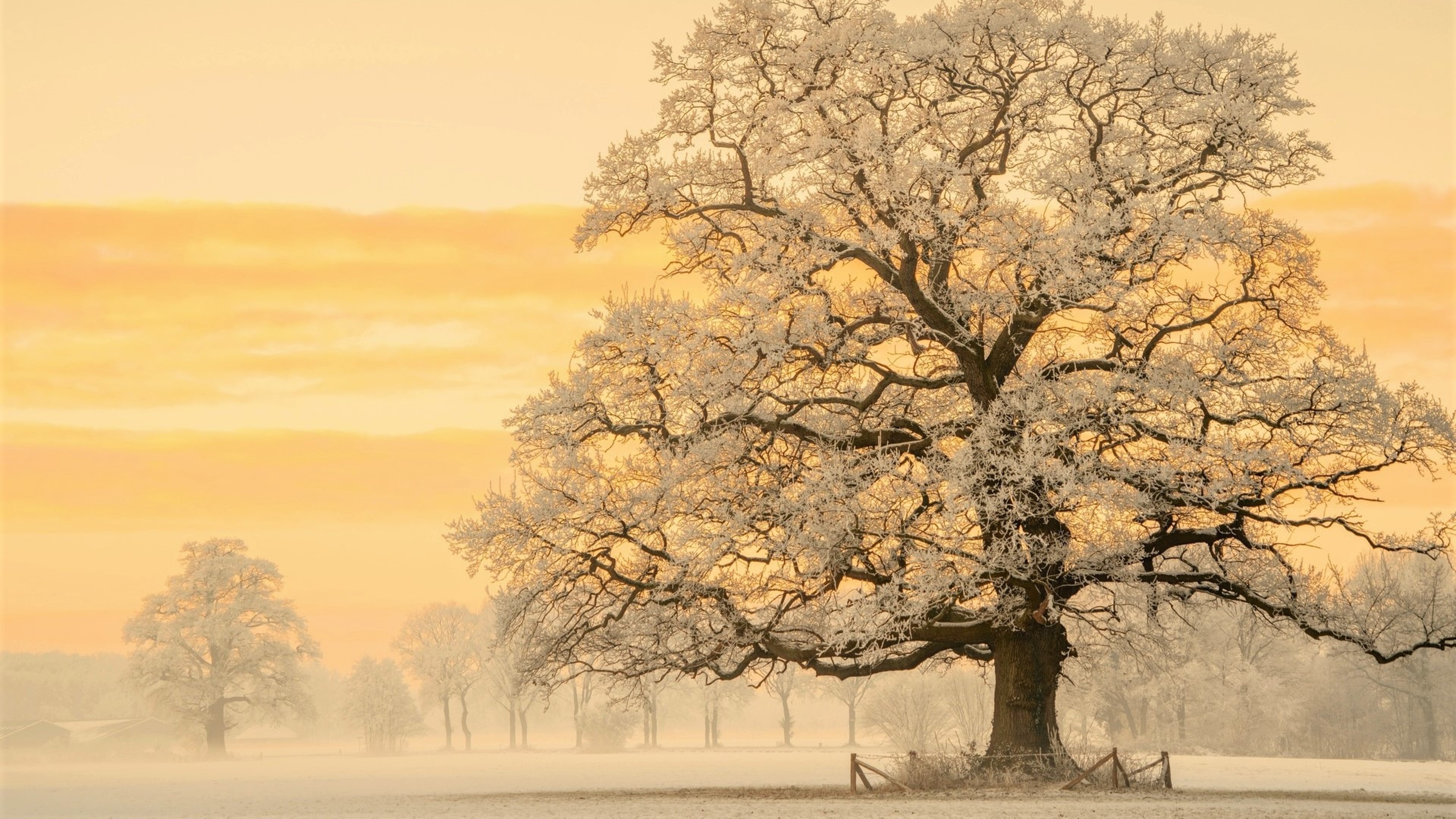 Lars Van De Goor Prints - HD Wallpaper 