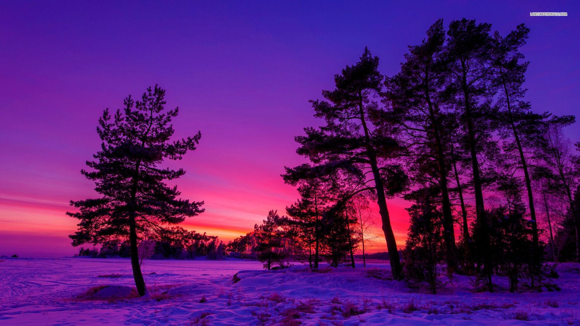 Free Winter Wallpapers And Screensavers - HD Wallpaper 