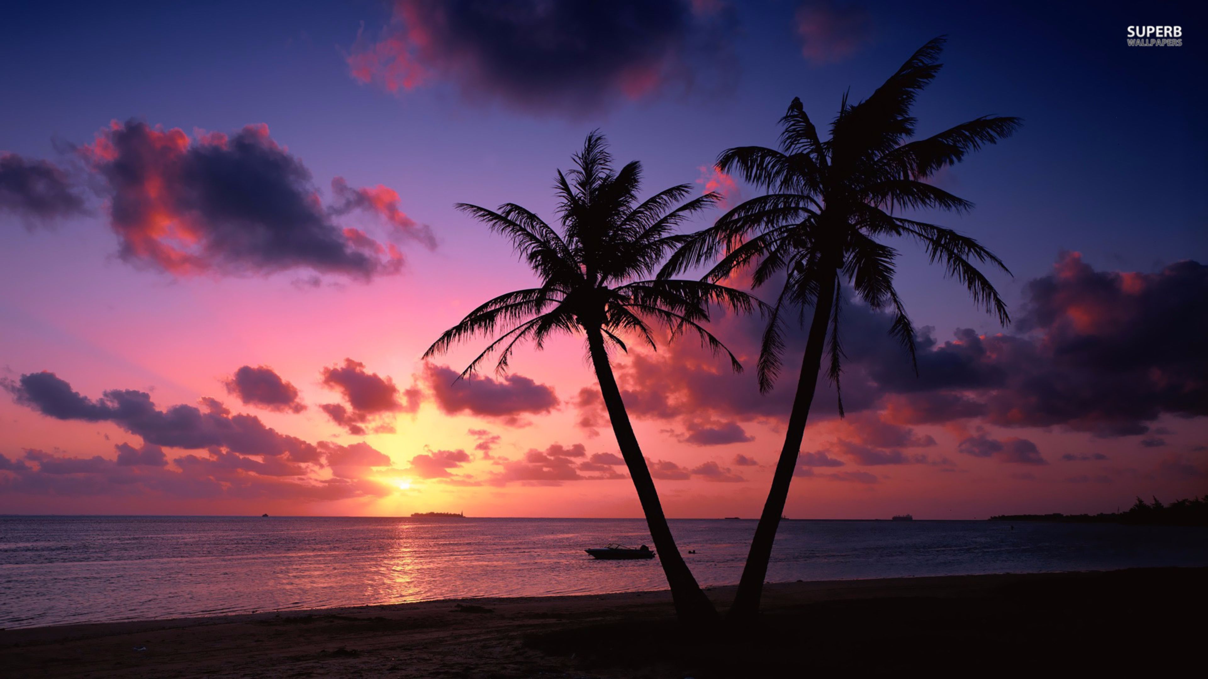 Sunset Tropical Beach Background - HD Wallpaper 