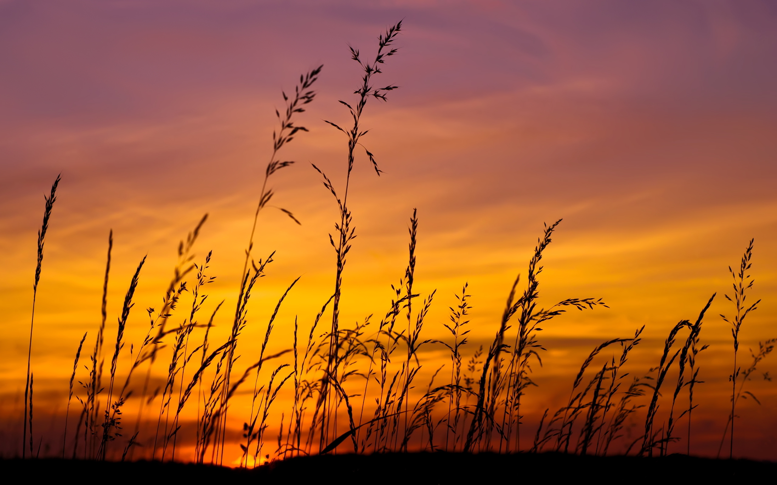 Piensa Como Piensan Los Sabios Mas Habla - HD Wallpaper 