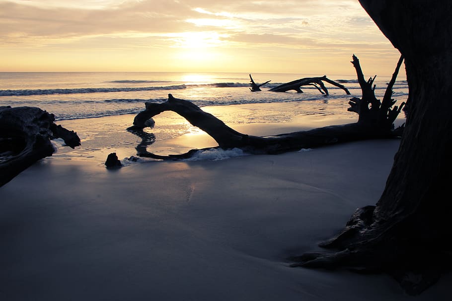 Jekyll Island, Ocean, Sunset, Sea, Beach, Reflection, - Driftwood Beach - HD Wallpaper 