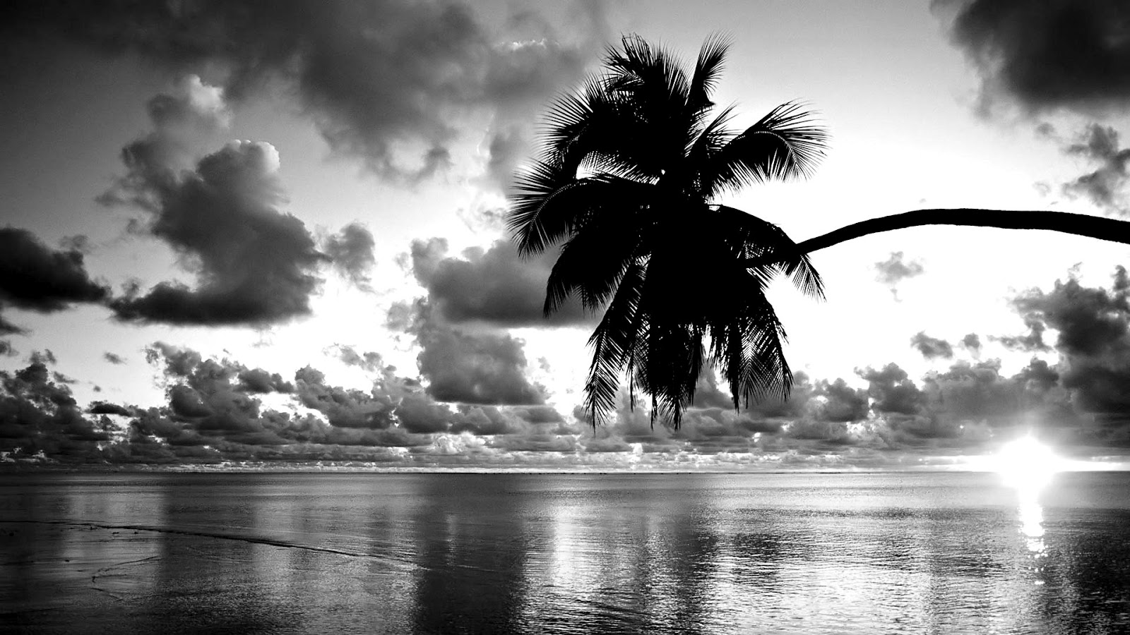 Black And White Wallpaper Mobile Excitelt
black And - Beach Wallpaper Black And White - HD Wallpaper 