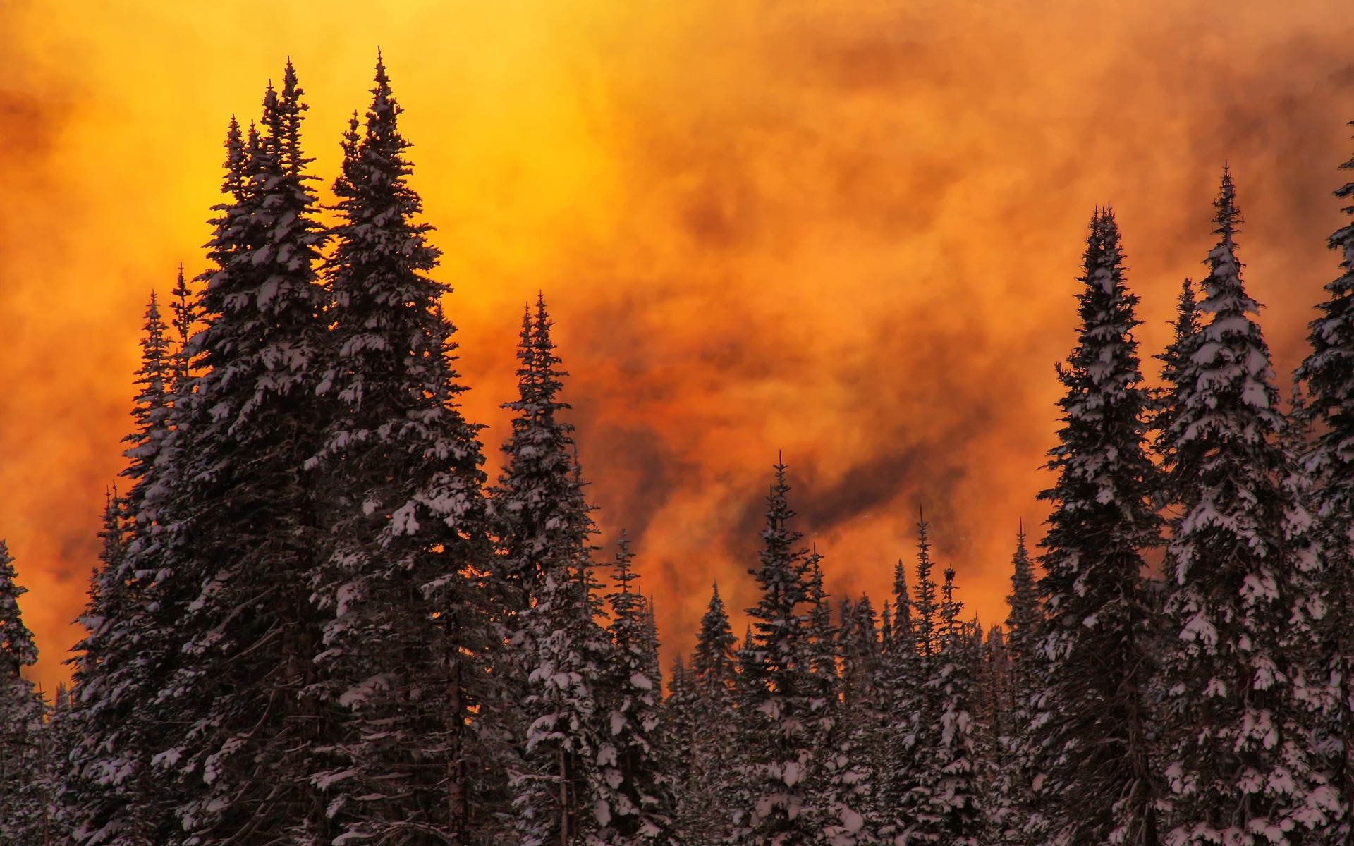 Winter Sunset - HD Wallpaper 