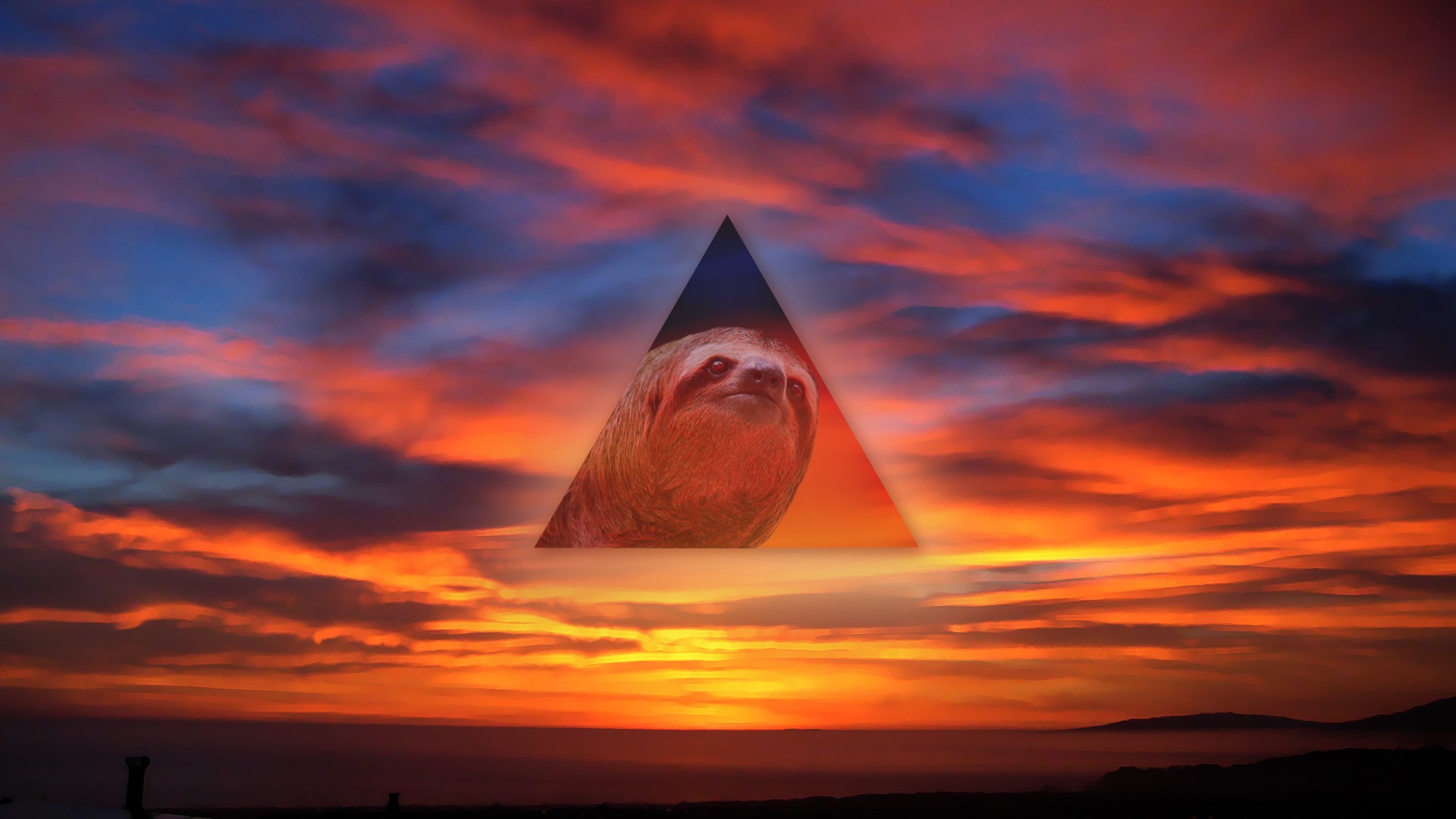 Sloth Image In Sunset - HD Wallpaper 